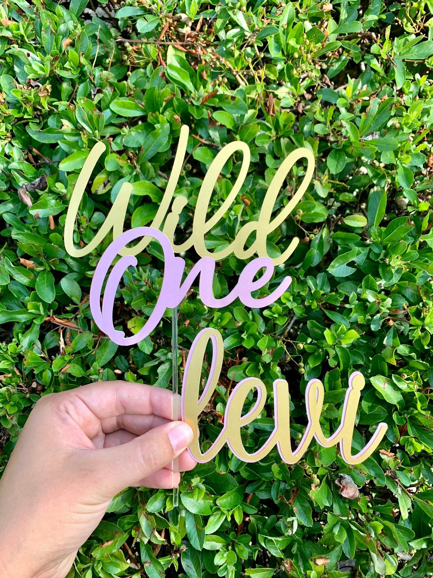 Wild One Cake Topper And Name Charm