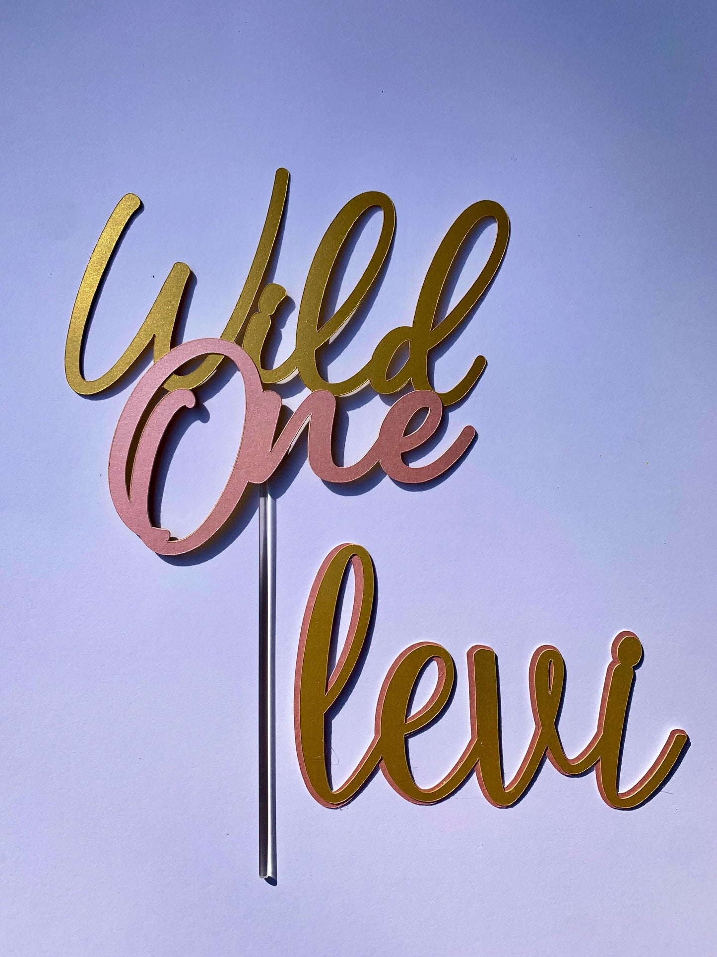 Wild One Cake Topper And Name Charm