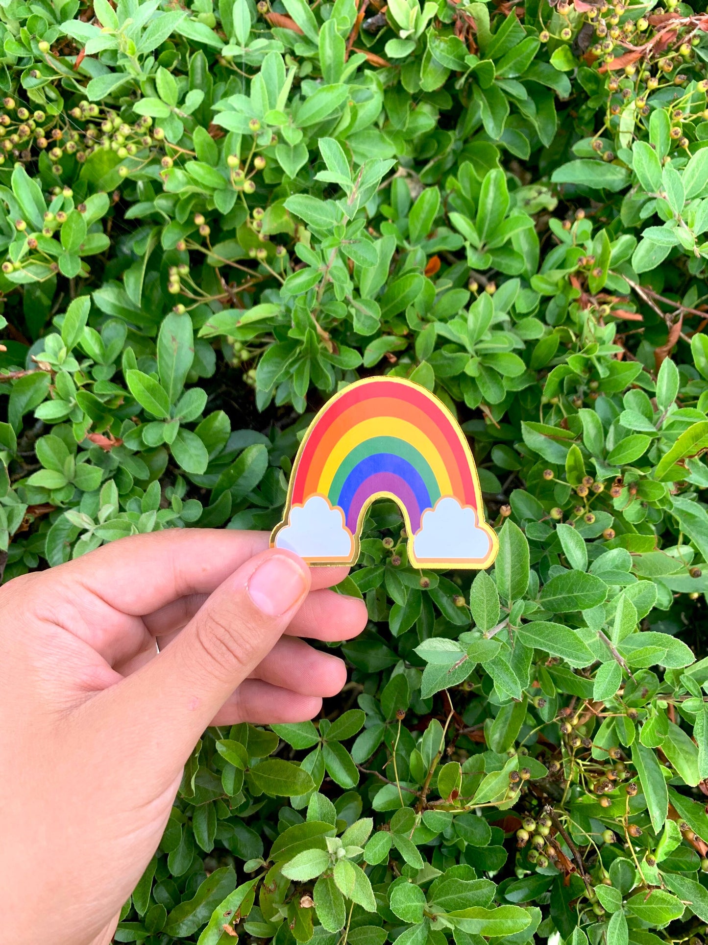 Rainbow Cupcake Toppers