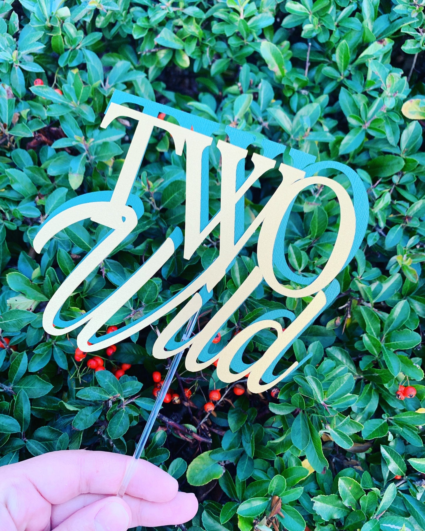 Two Wild Cake Topper