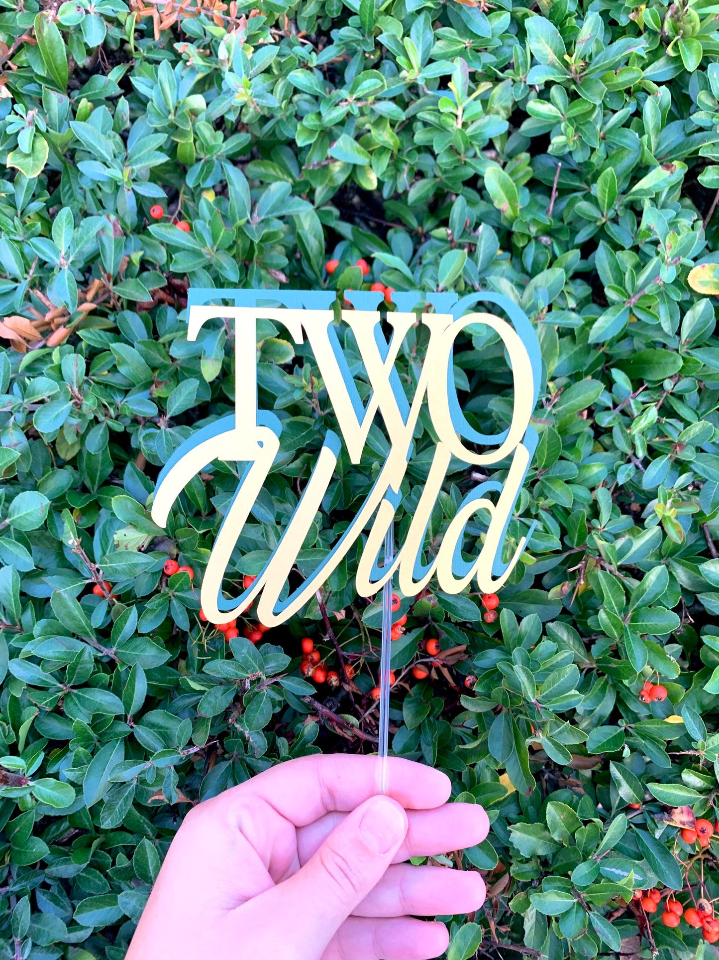 Two Wild Cake Topper