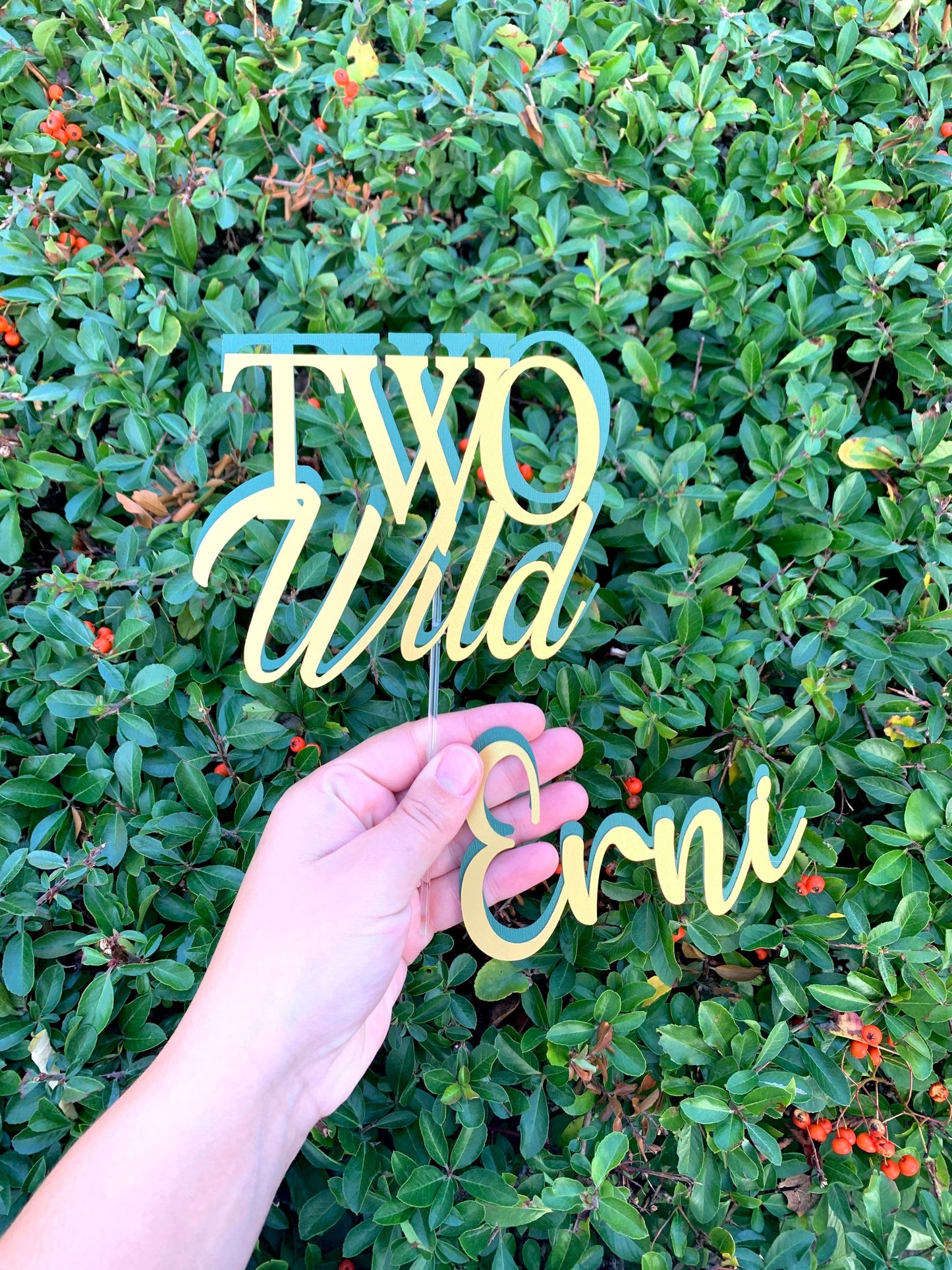 Two Wild Cake Topper