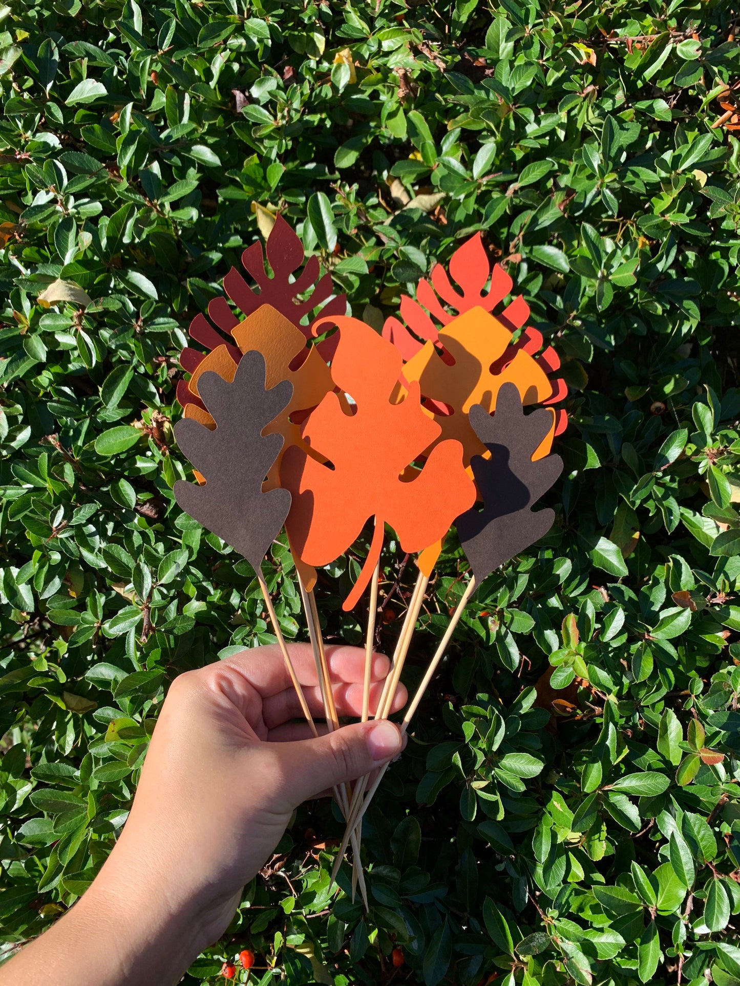 Autumn Palm Leaves