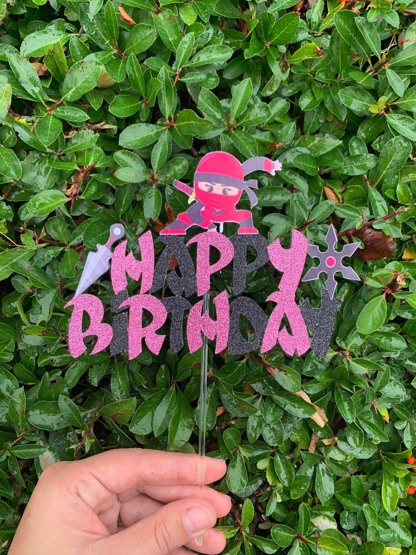 Ninja Cake Topper