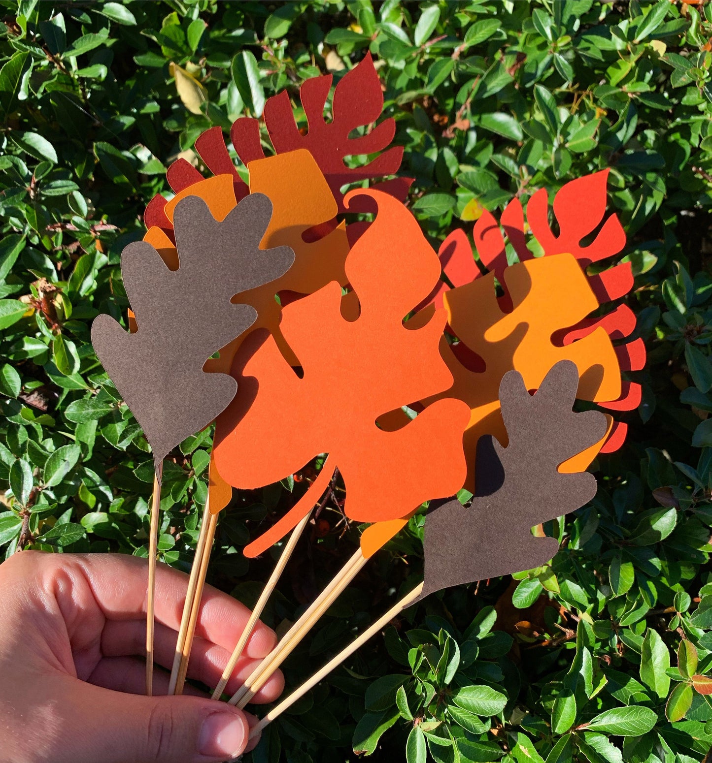 Autumn Palm Leaves