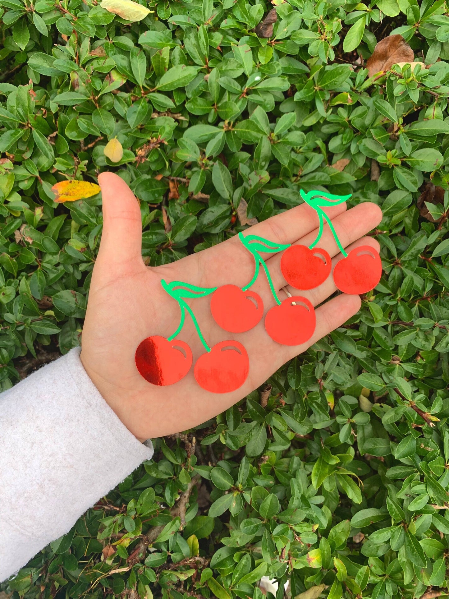 Cherry Cupcake Toppers