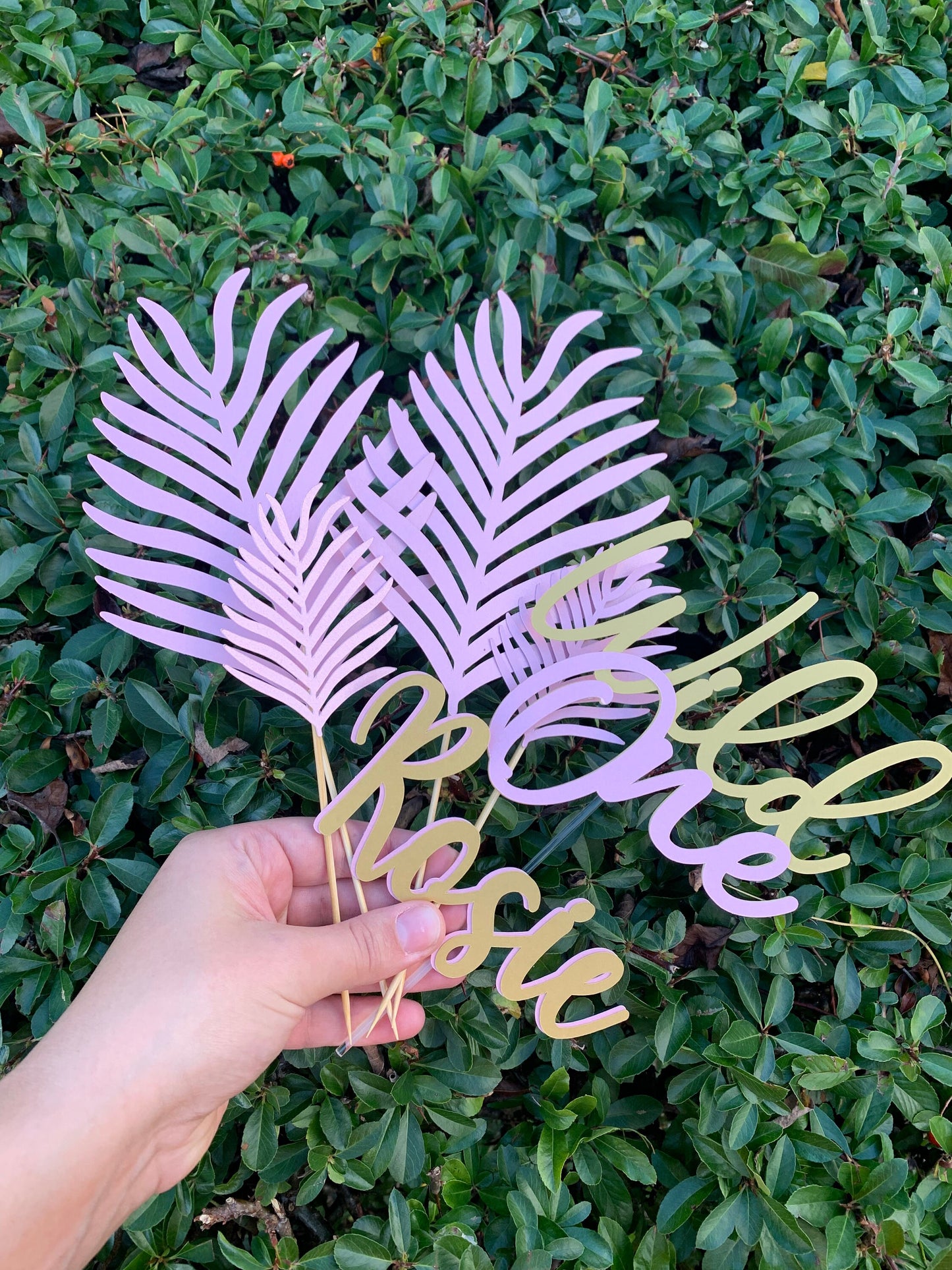 Wild One Cake Topper & Cake Topper Palm Leaves
