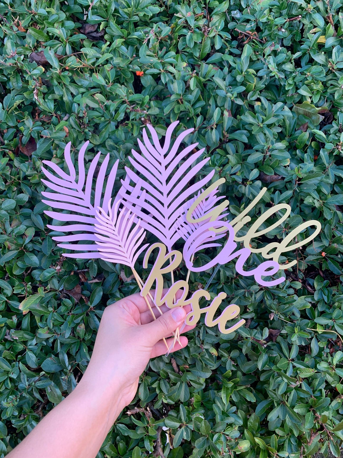 Wild One Cake Topper & Cake Topper Palm Leaves