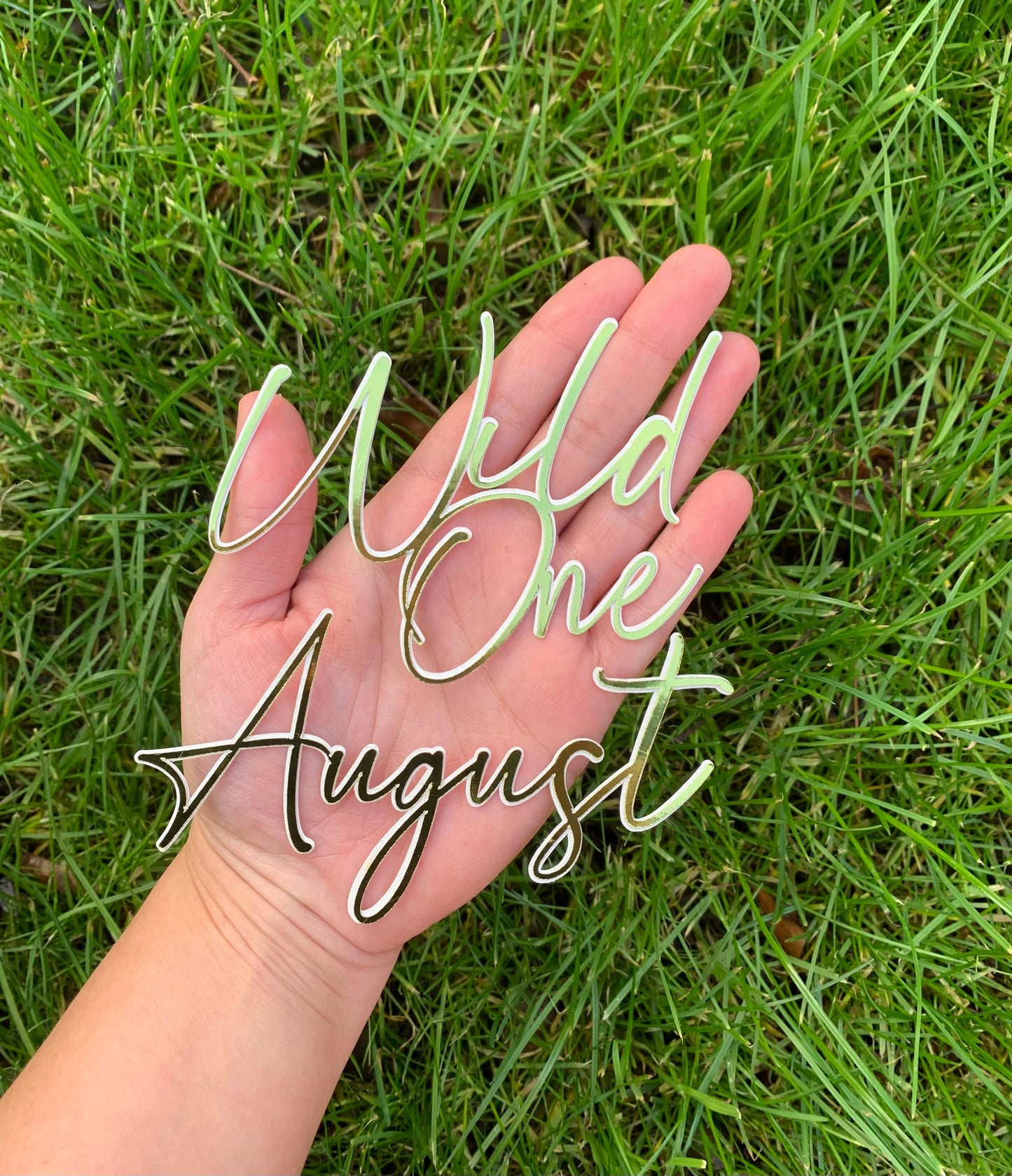 Wild One Cake Topper, First Birthday Cake Decoration, First Birthday Cake Topper, First Birthday Party Decorations, Name And Age Charm