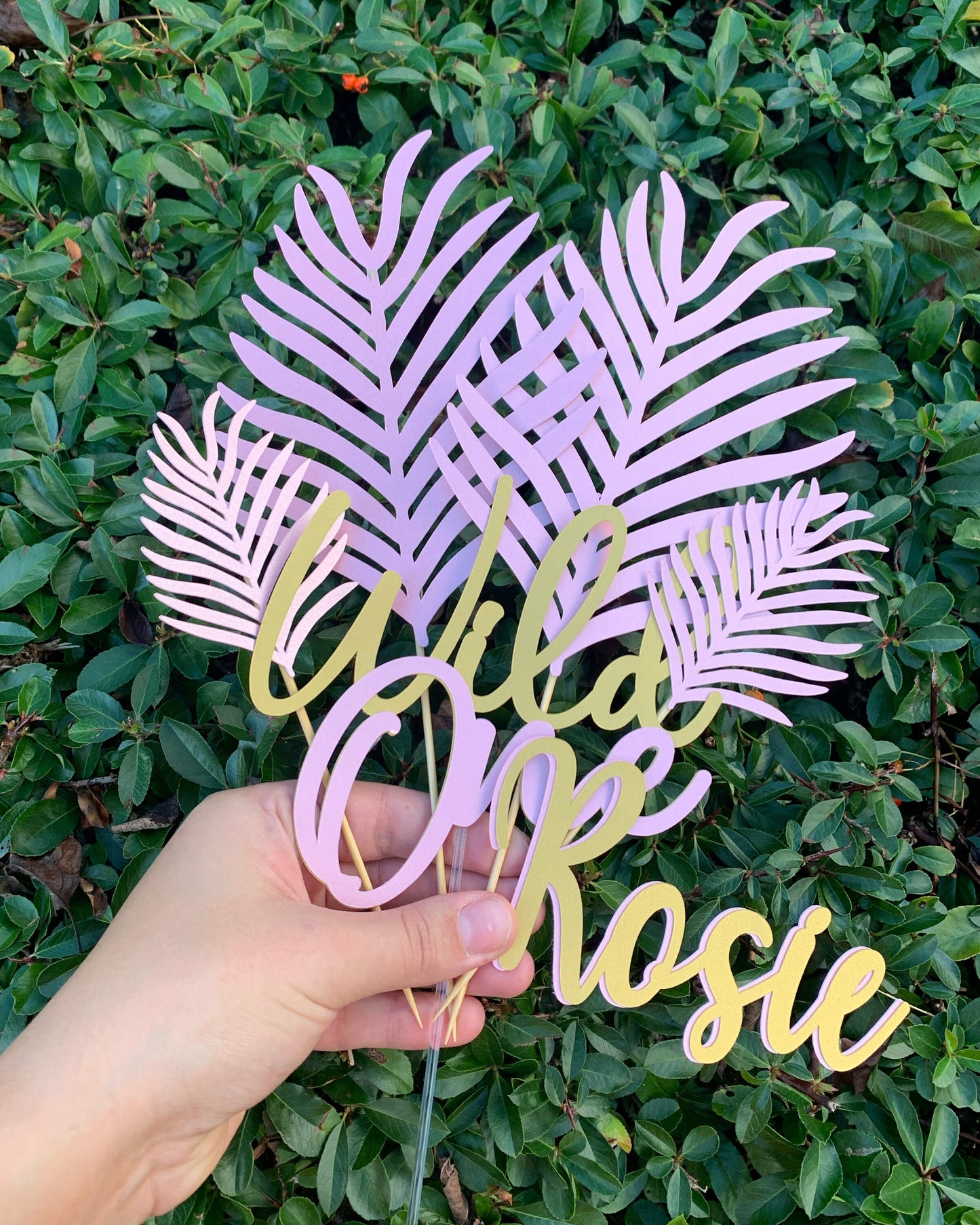 Wild One Cake Topper & Cake Topper Palm Leaves