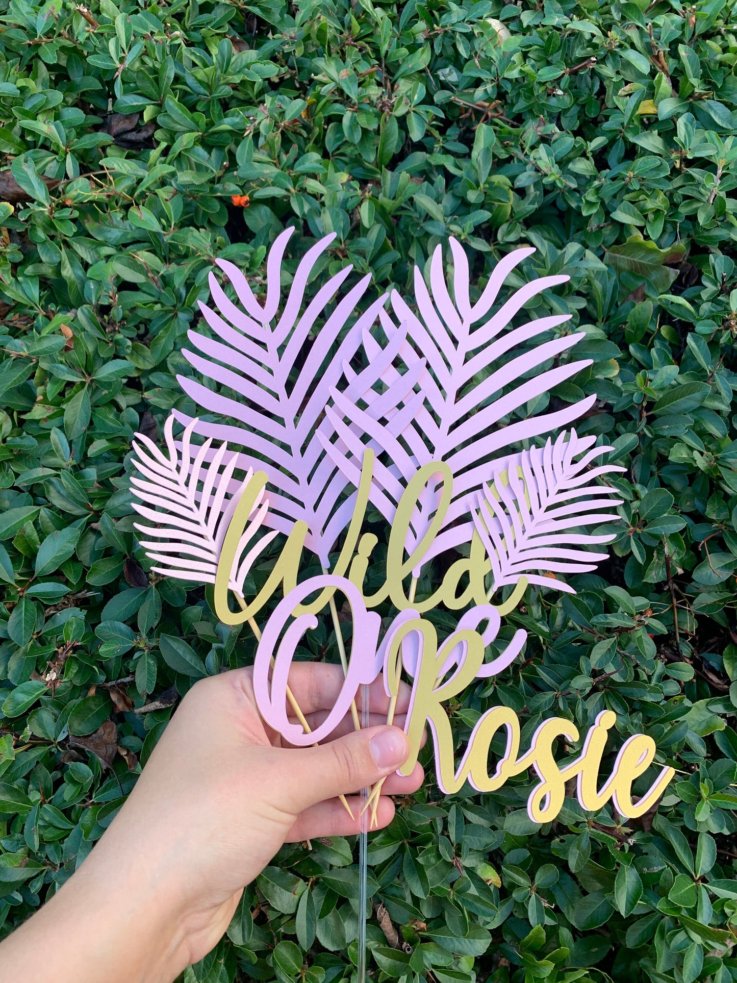 Wild One Cake Topper & Cake Topper Palm Leaves