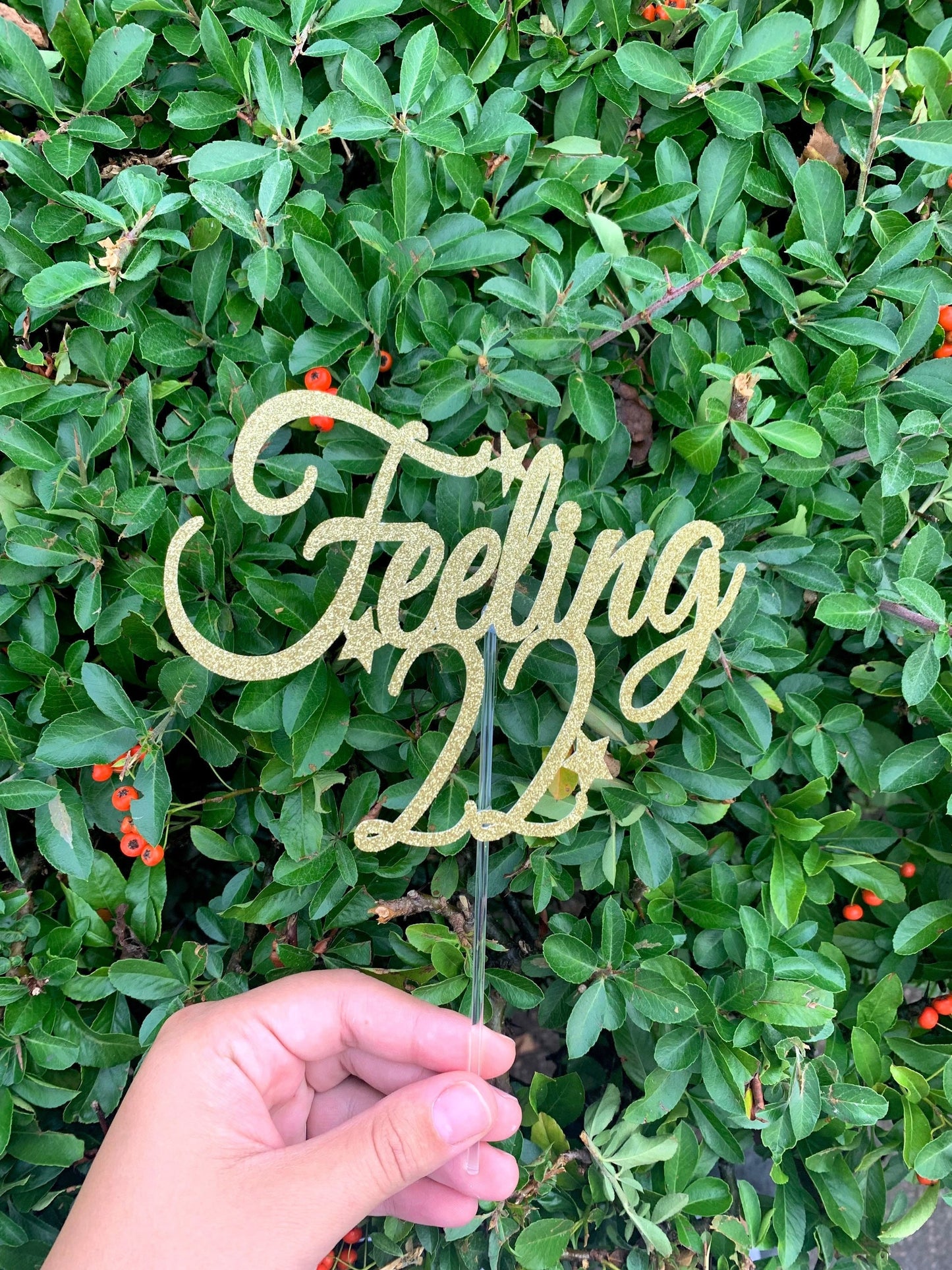 Feeling 22 Cake Topper