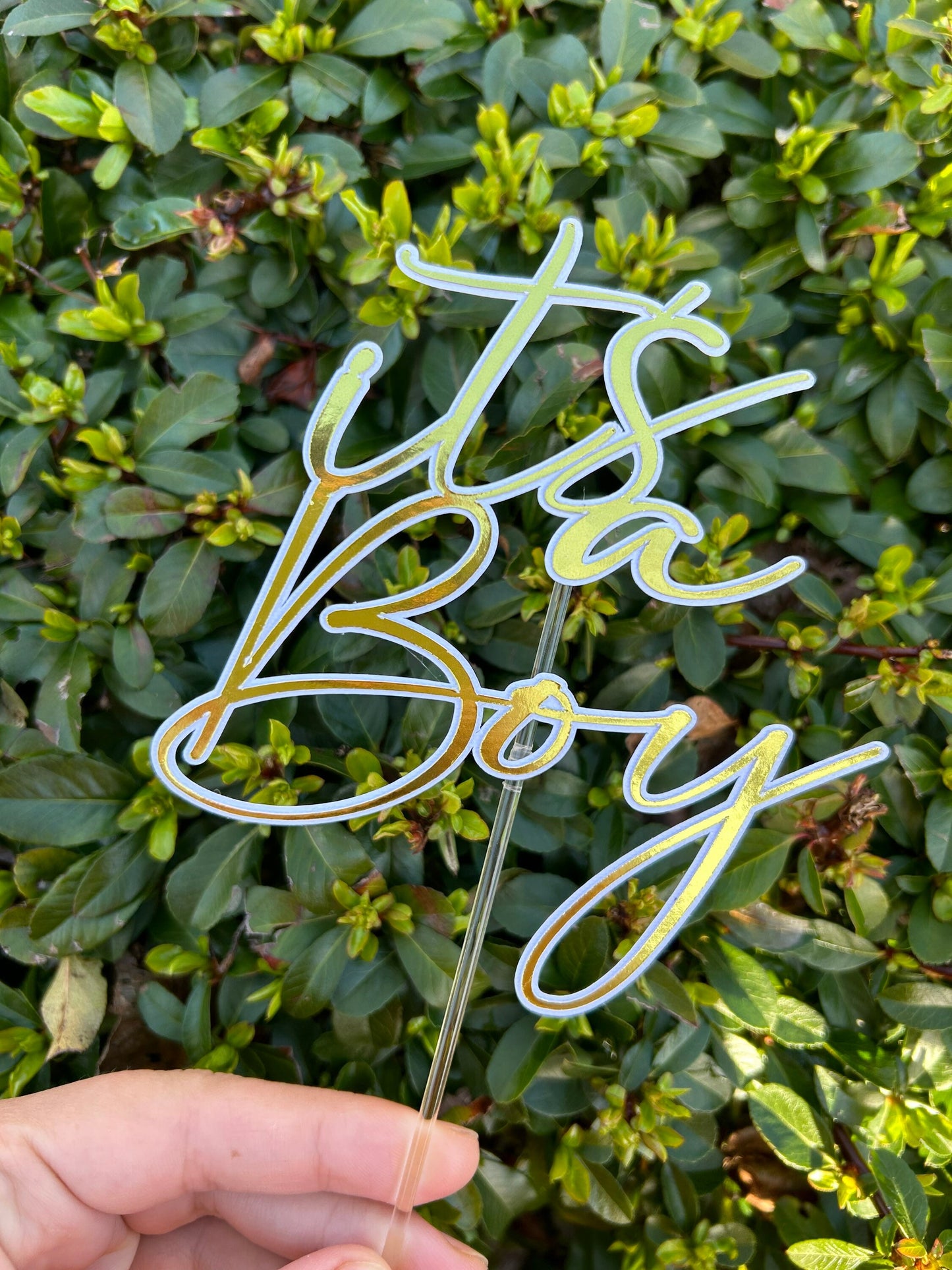 It's A Boy Cake Topper/ Charms