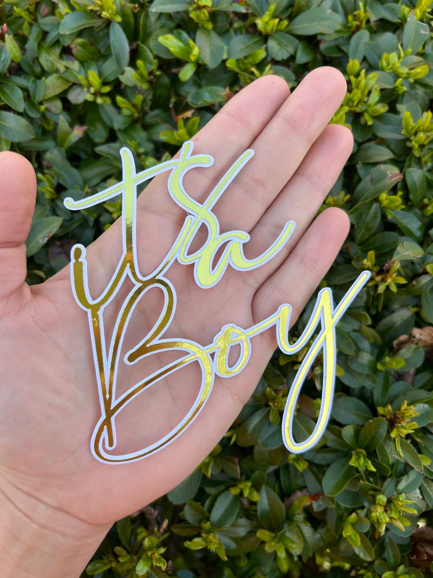 It's A Boy Cake Topper/ Charms