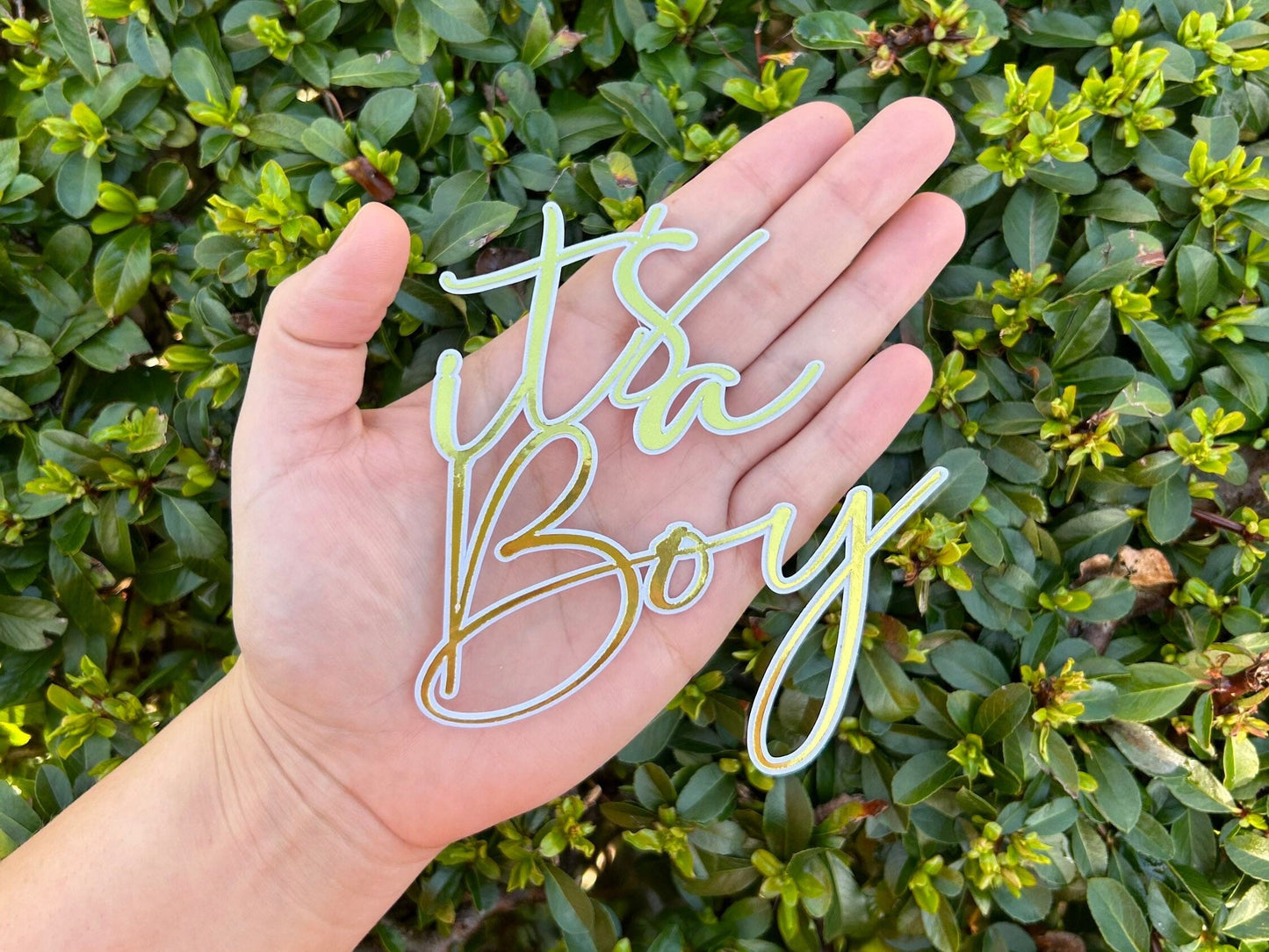 It's A Boy Cake Topper/ Charms