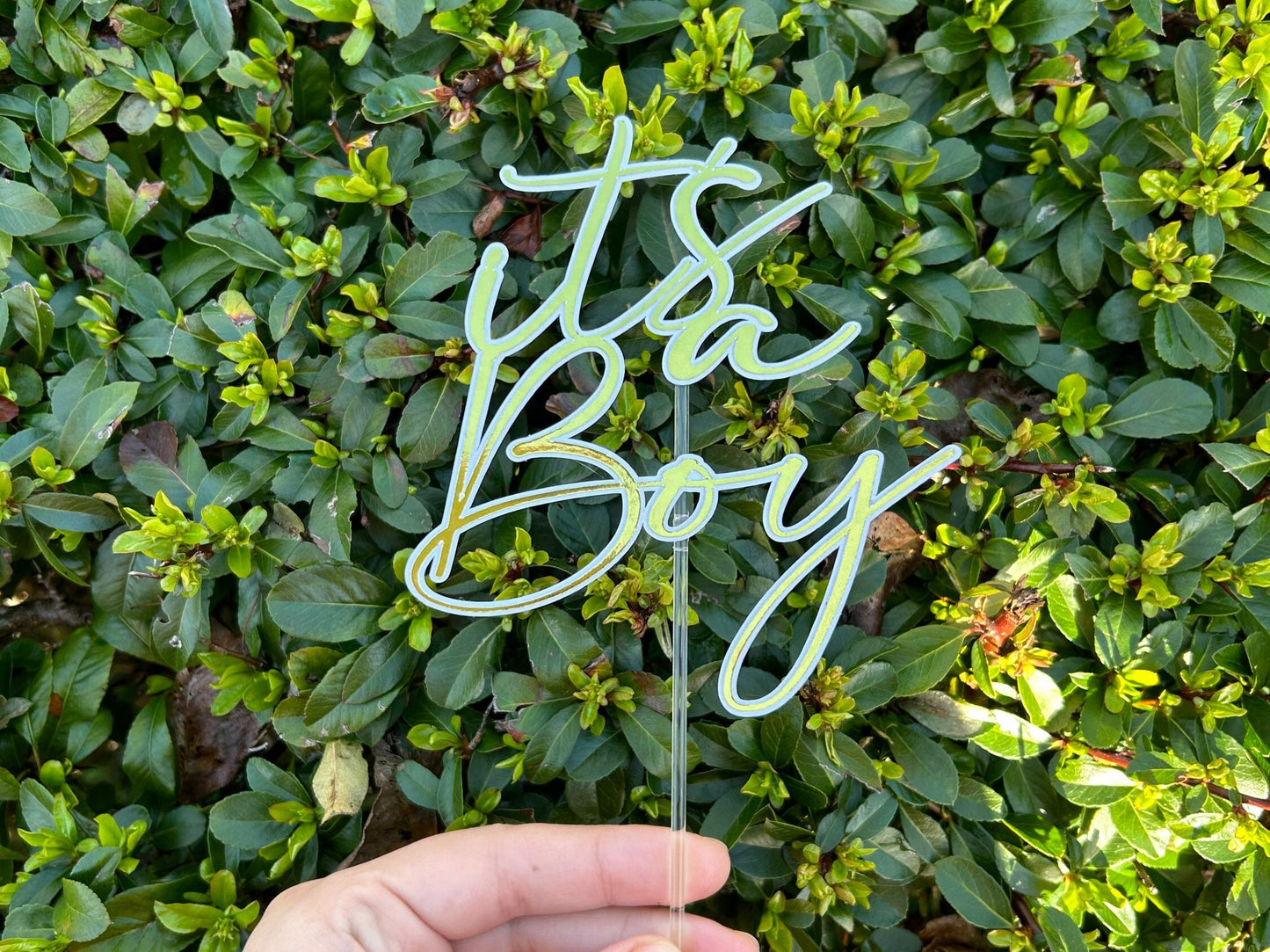It's A Boy Cake Topper/ Charms