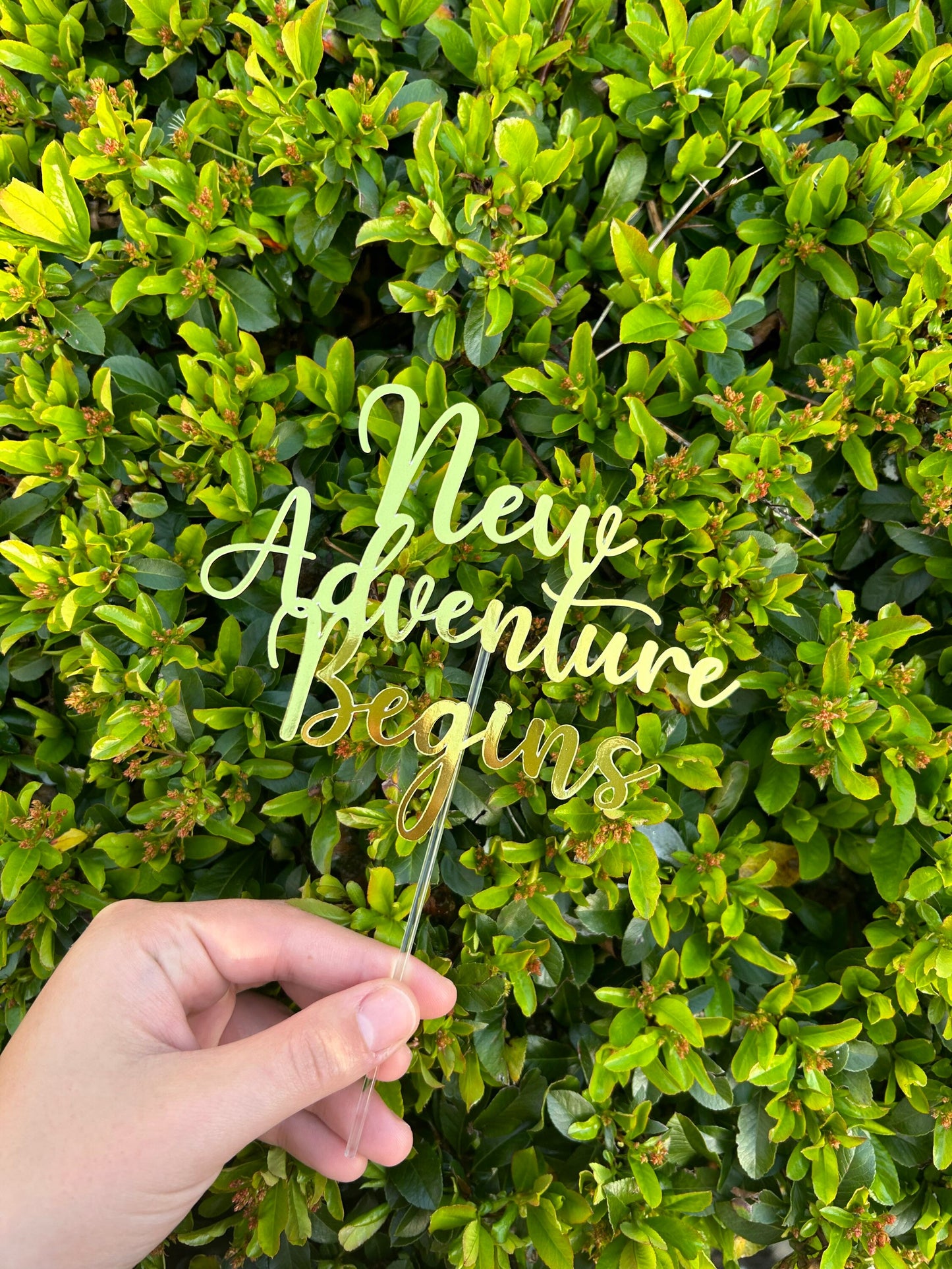New Adventure Cake Topper