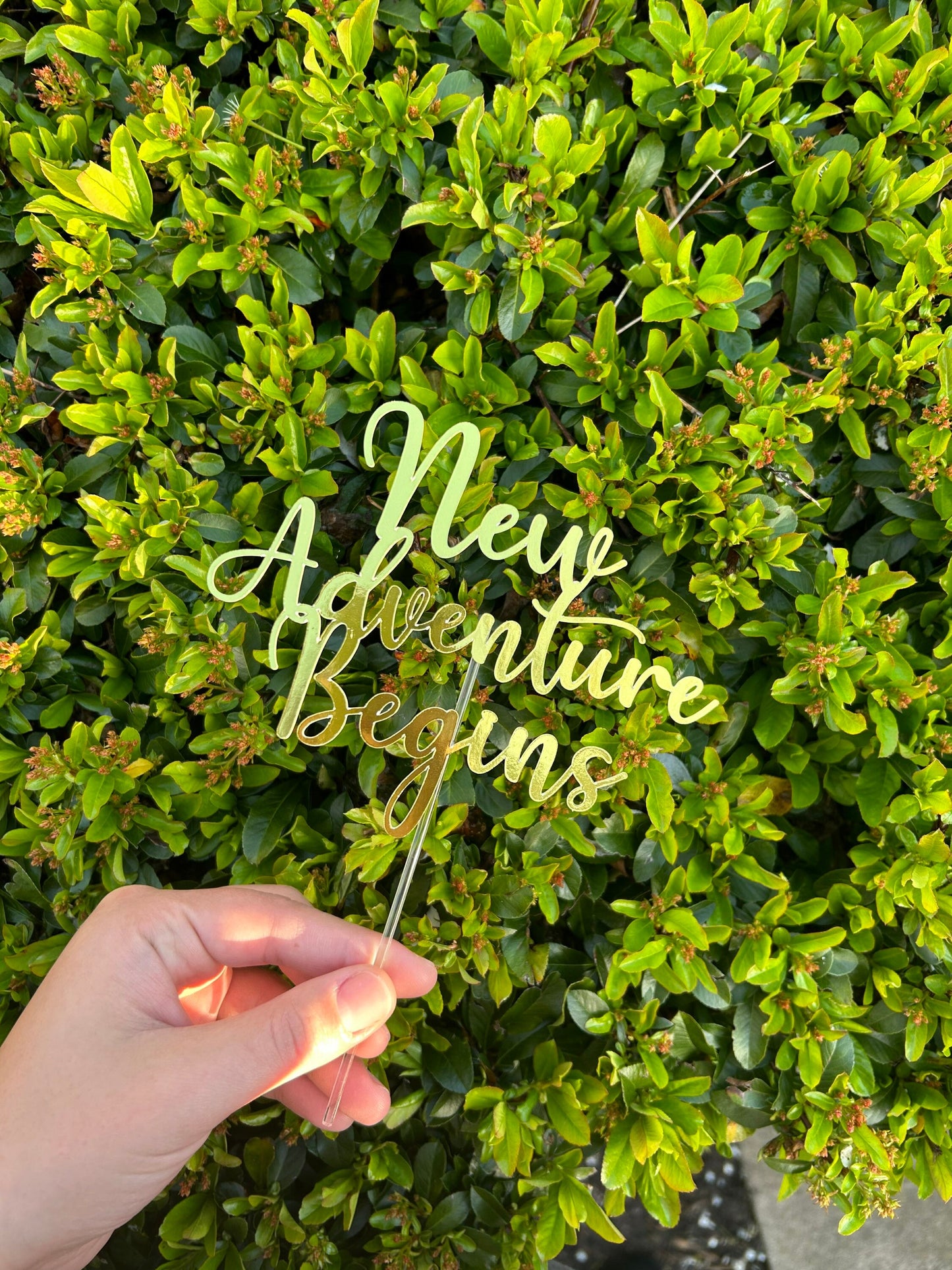 New Adventure Cake Topper