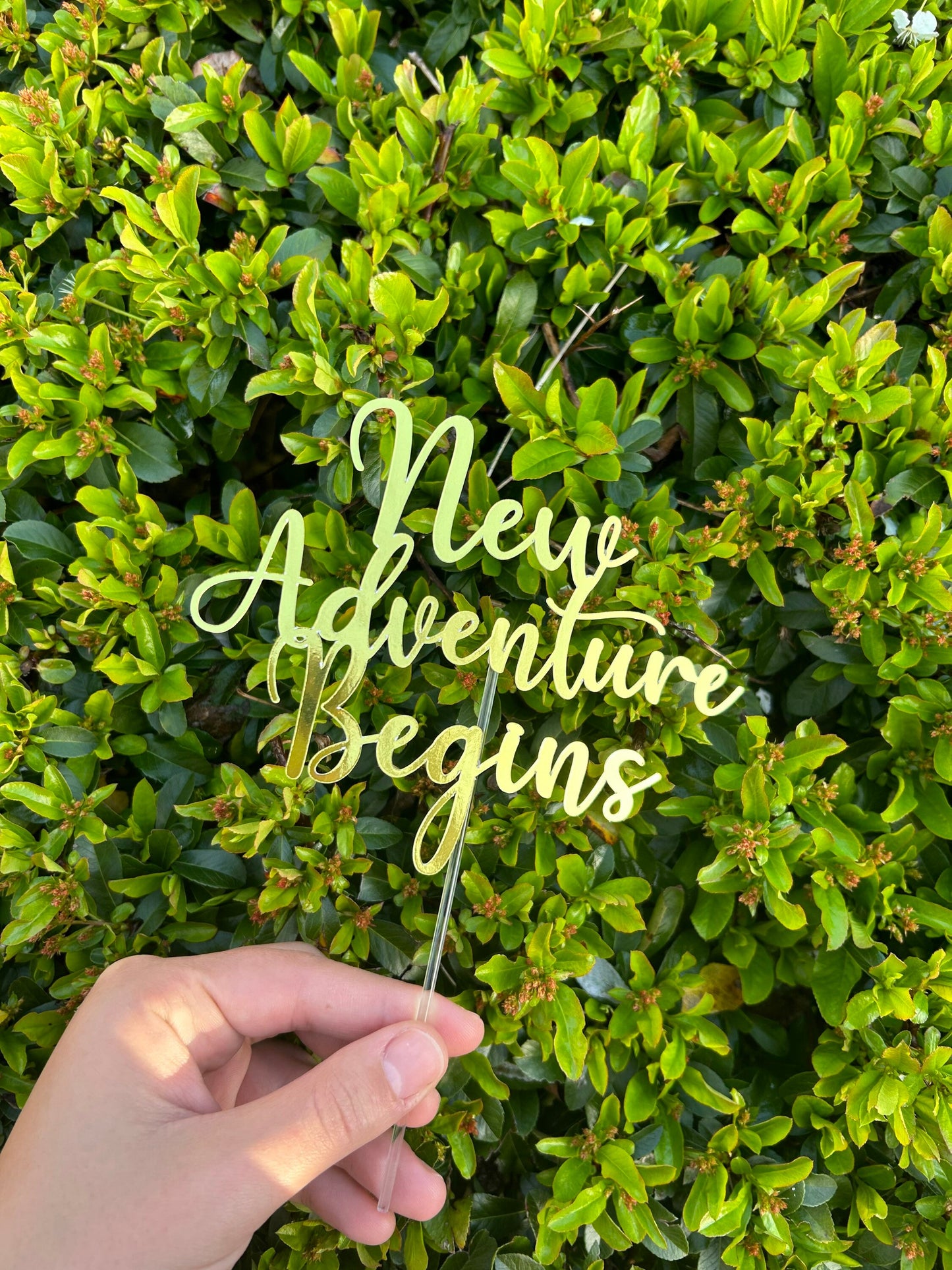 New Adventure Cake Topper