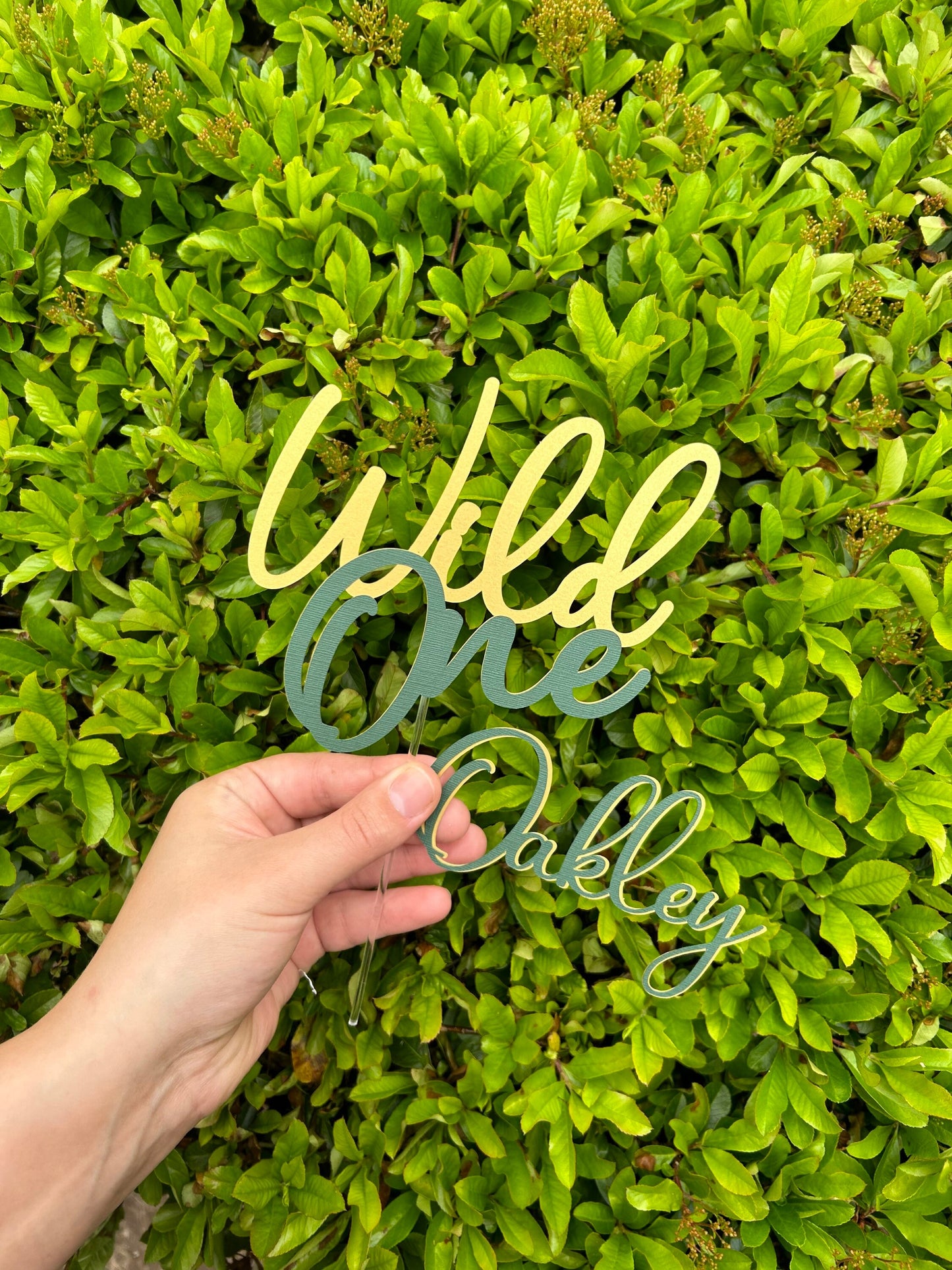 Wild One Cake Topper And Name Charm