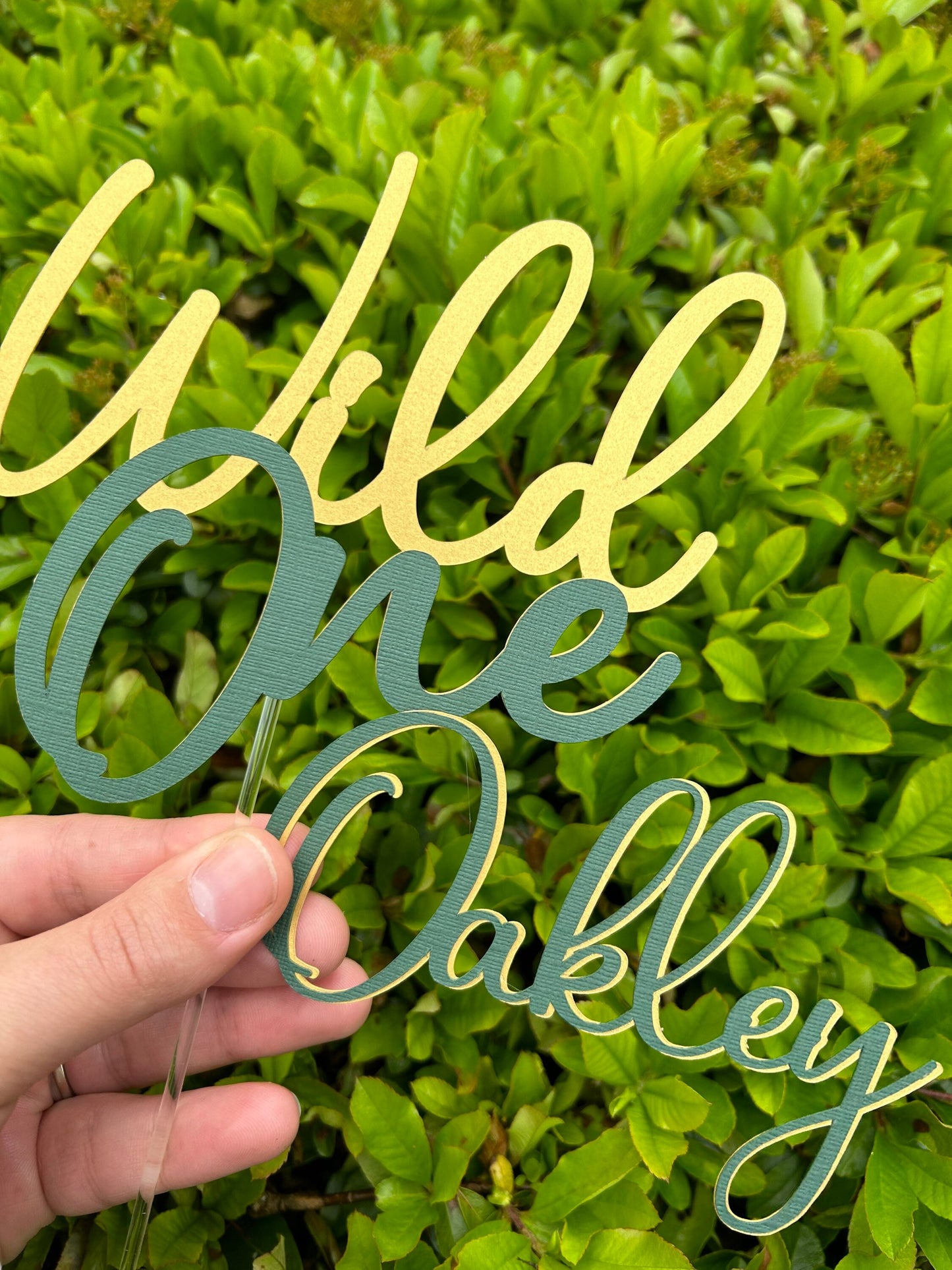 Wild One Cake Topper And Name Charm
