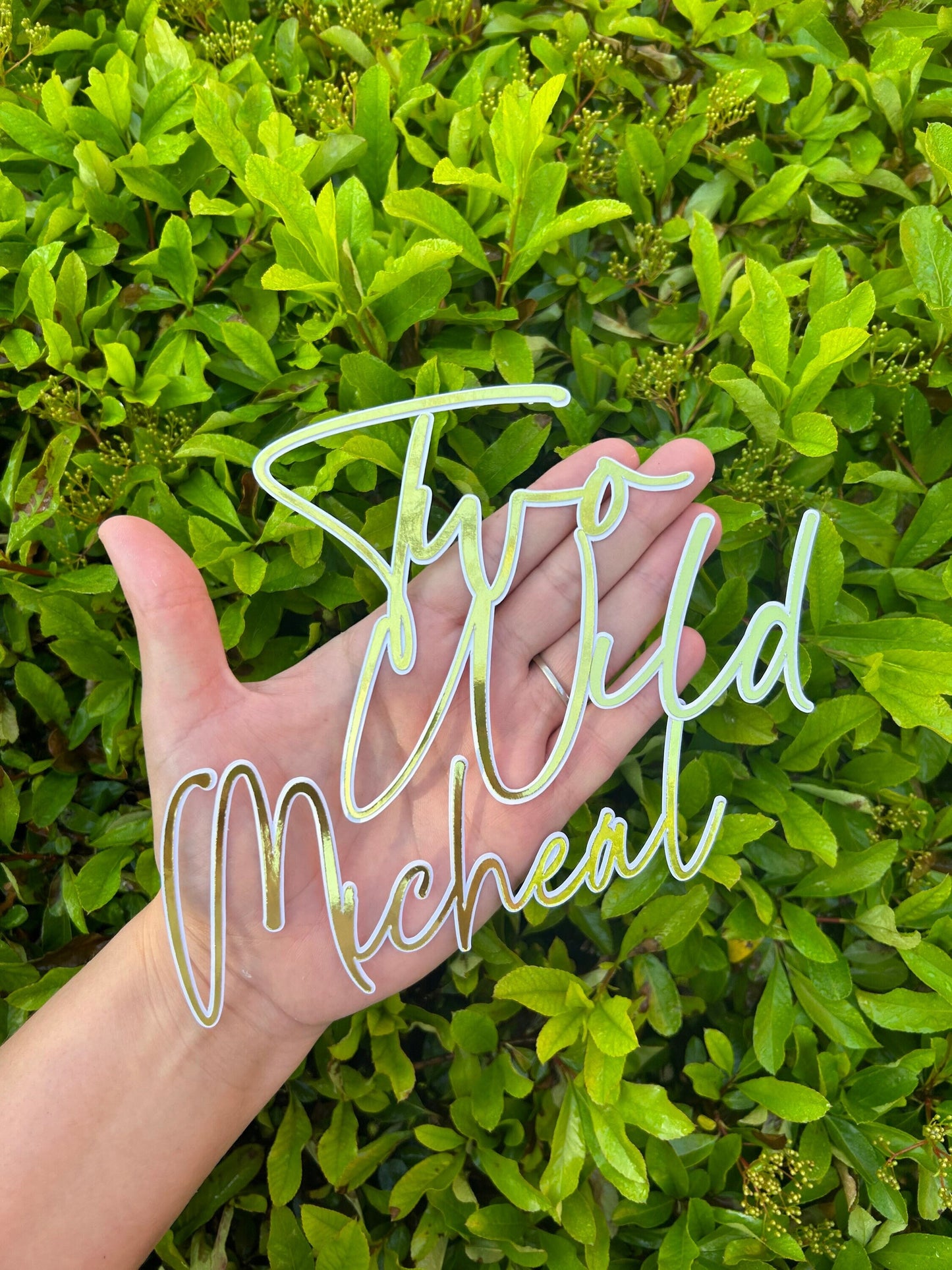 Two Wild Cake Charm And Name, Two Wild Cake Topper