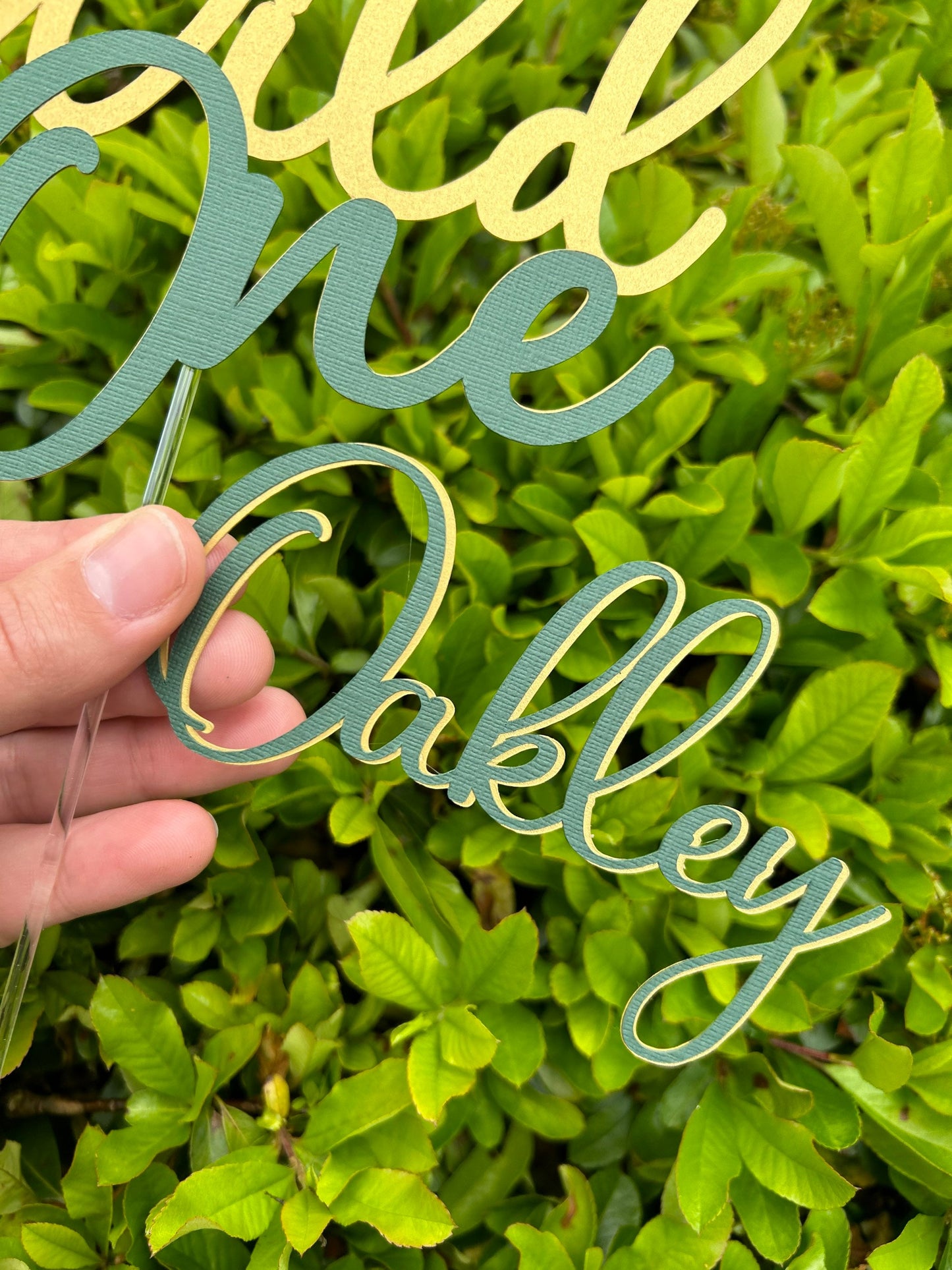 Wild One Cake Topper And Name Charm