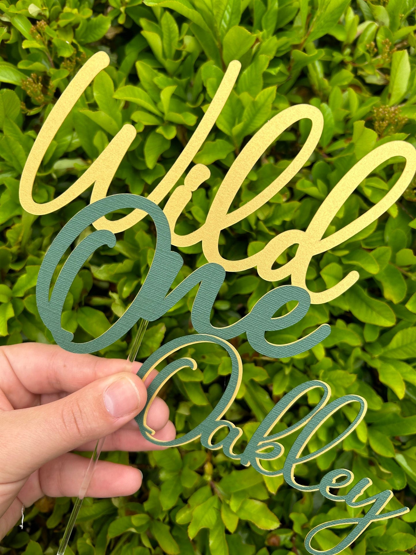 Wild One Cake Topper And Name Charm