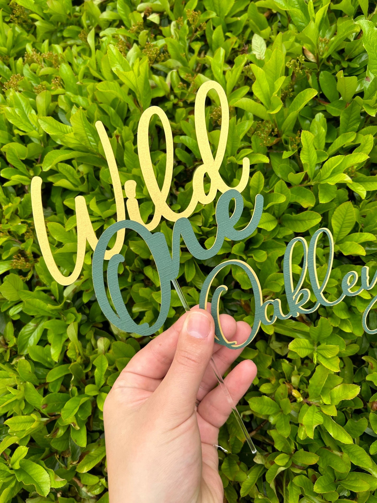 Wild One Cake Topper And Name Charm
