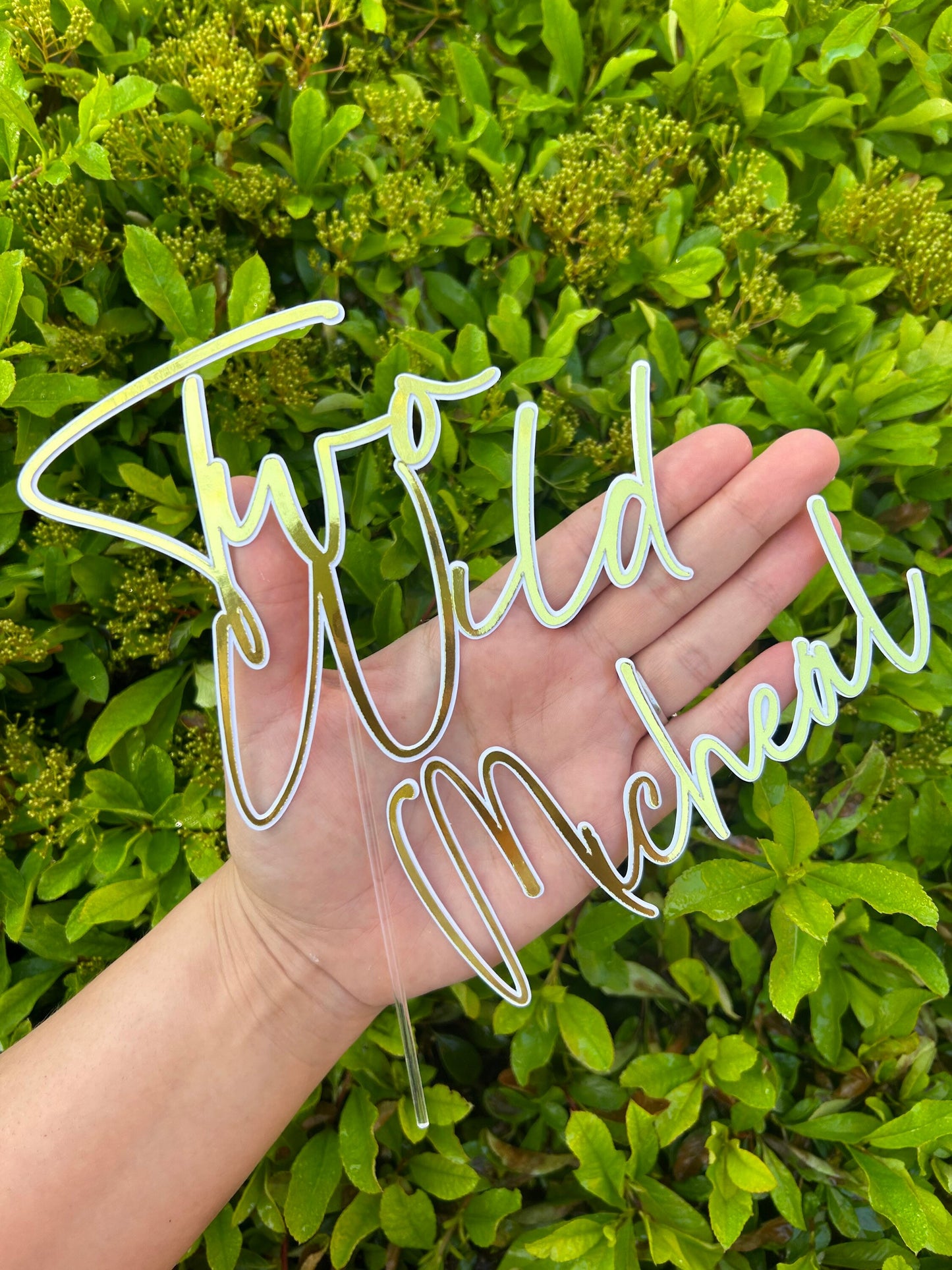 Two Wild Cake Charm And Name, Two Wild Cake Topper