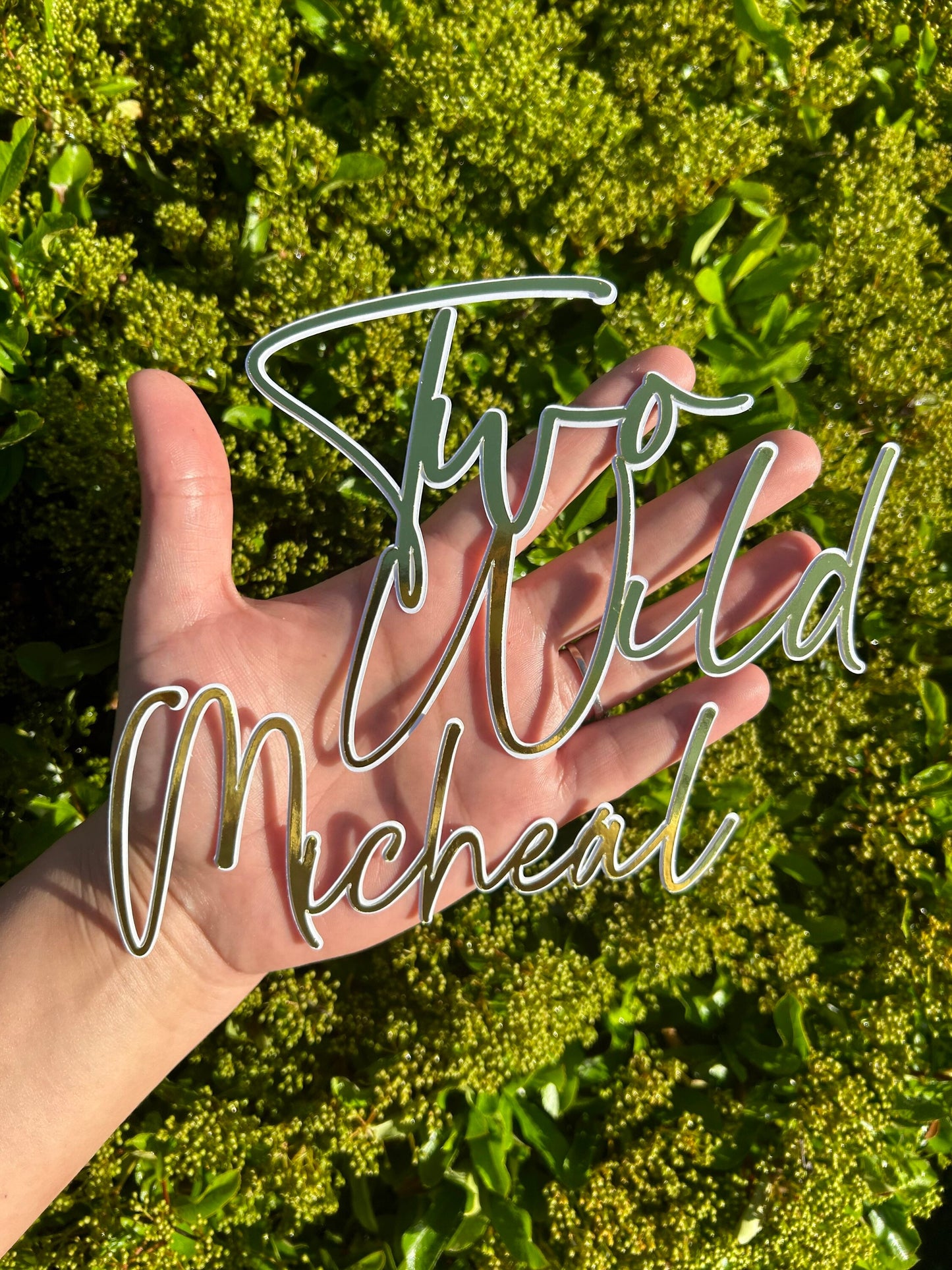 Two Wild Cake Charm And Name, Two Wild Cake Topper