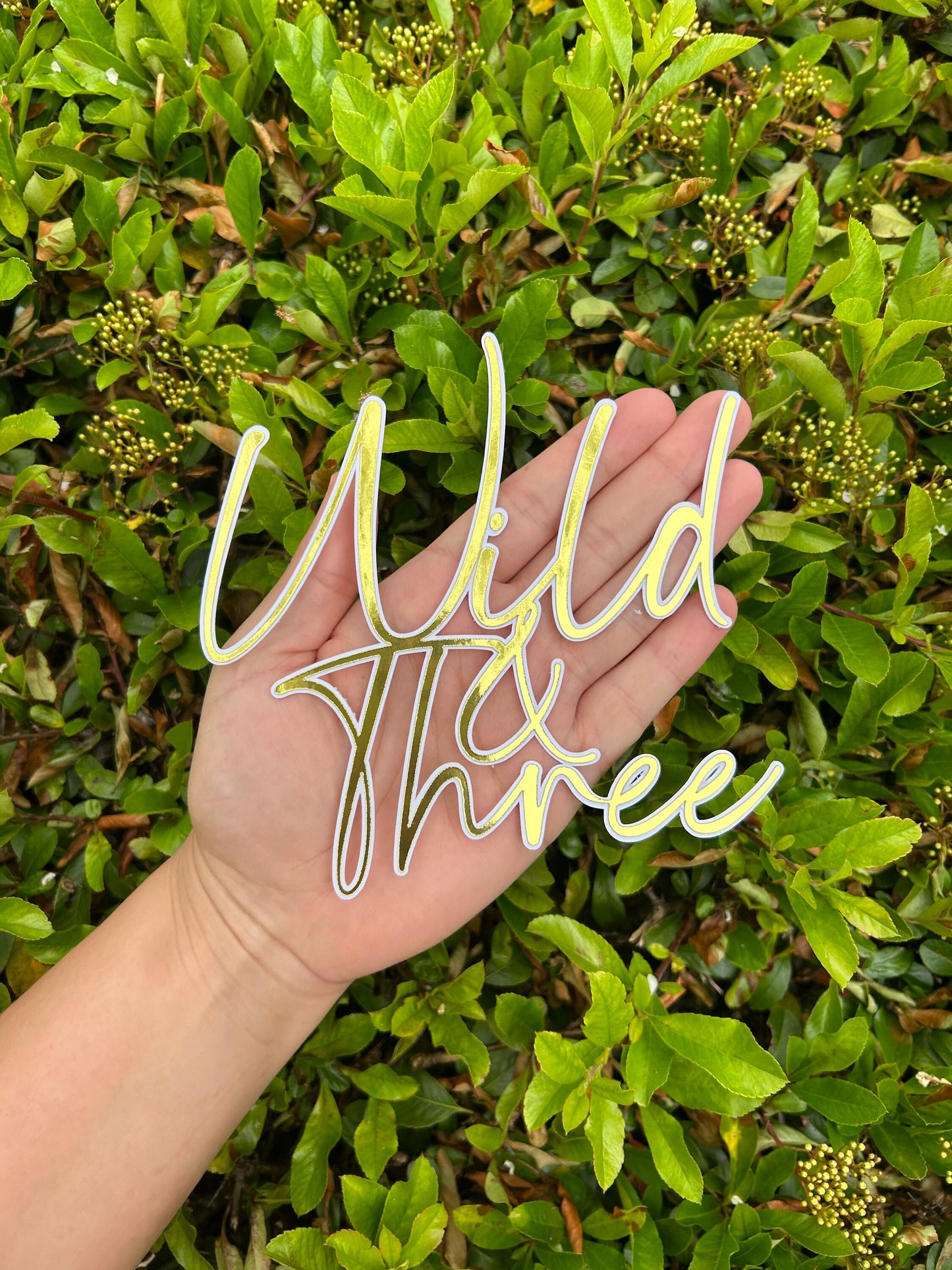 Wild And Three Charm And Name, Wild And Three Cake Topper