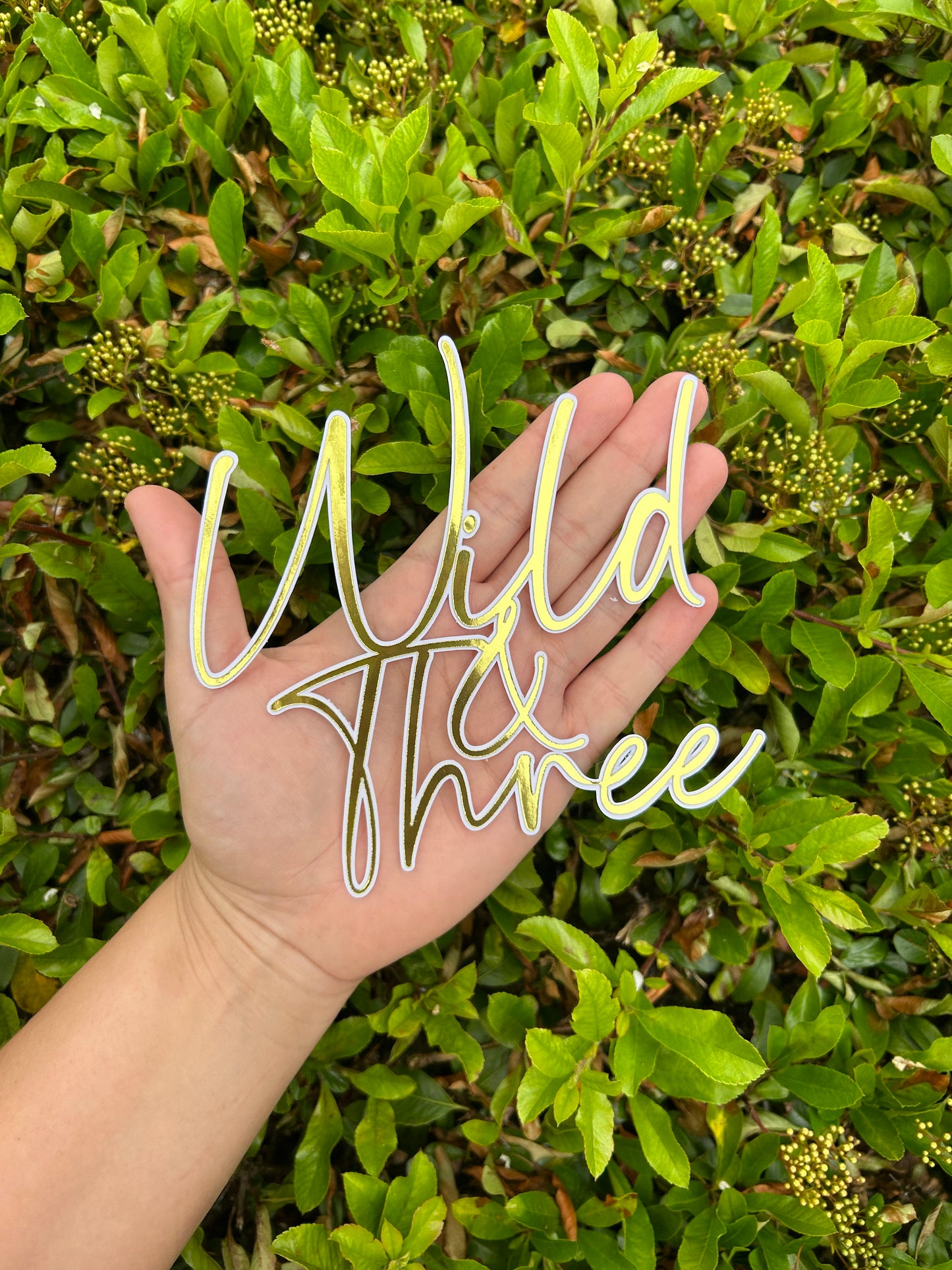 Wild And Three Charm And Name, Wild And Three Cake Topper