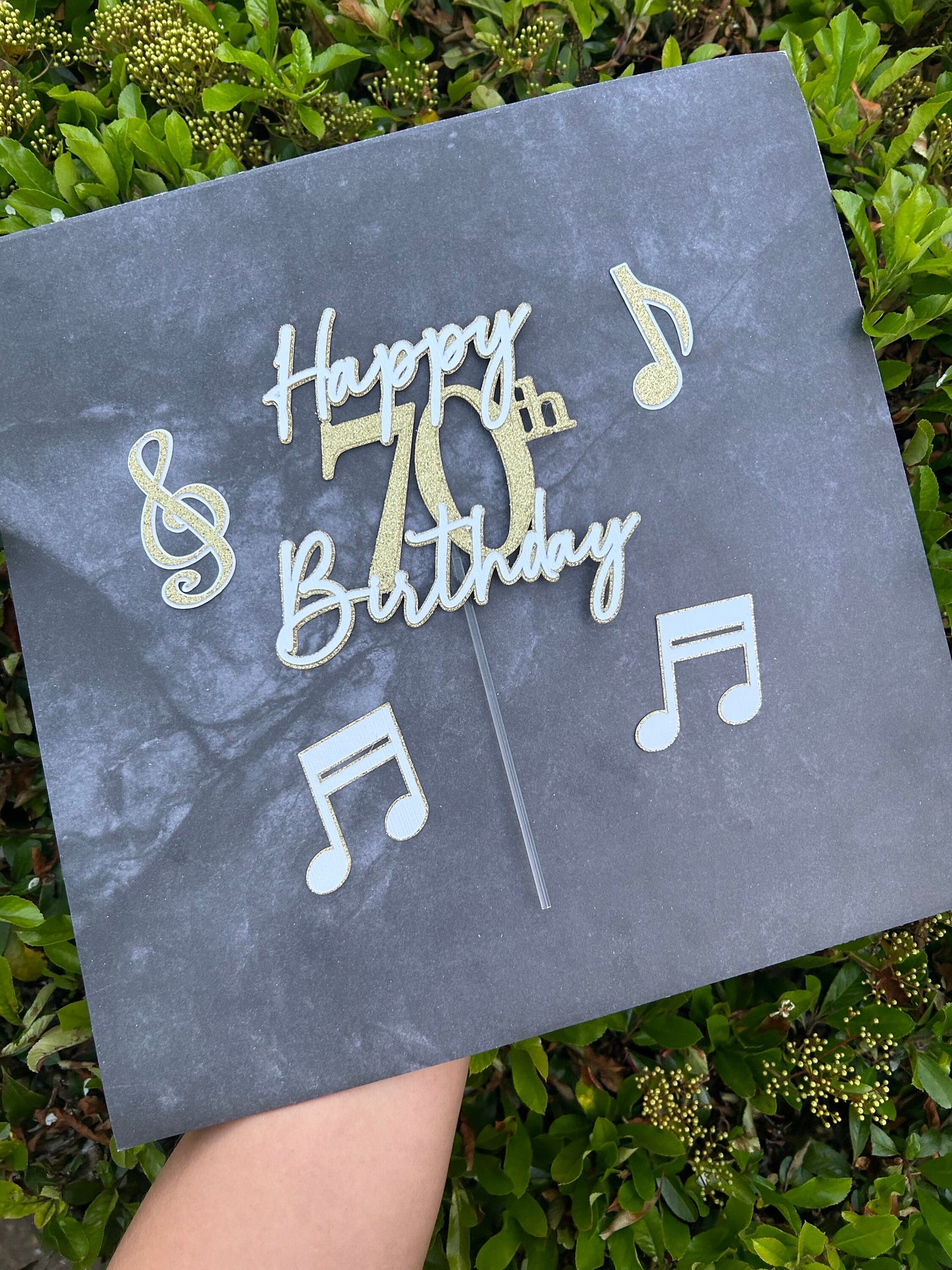 Music Notes Cake Topper