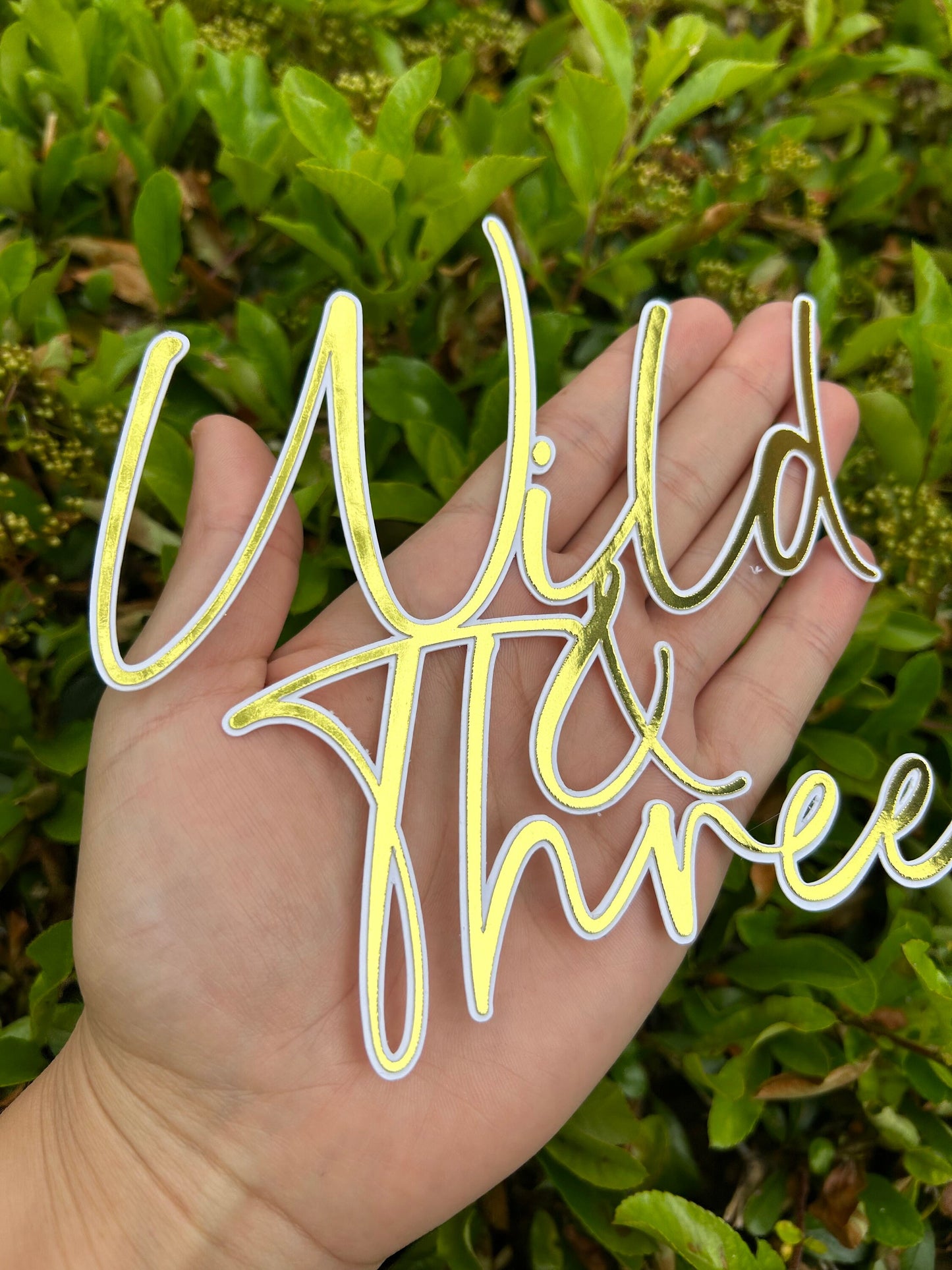 Wild And Three Charm And Name, Wild And Three Cake Topper