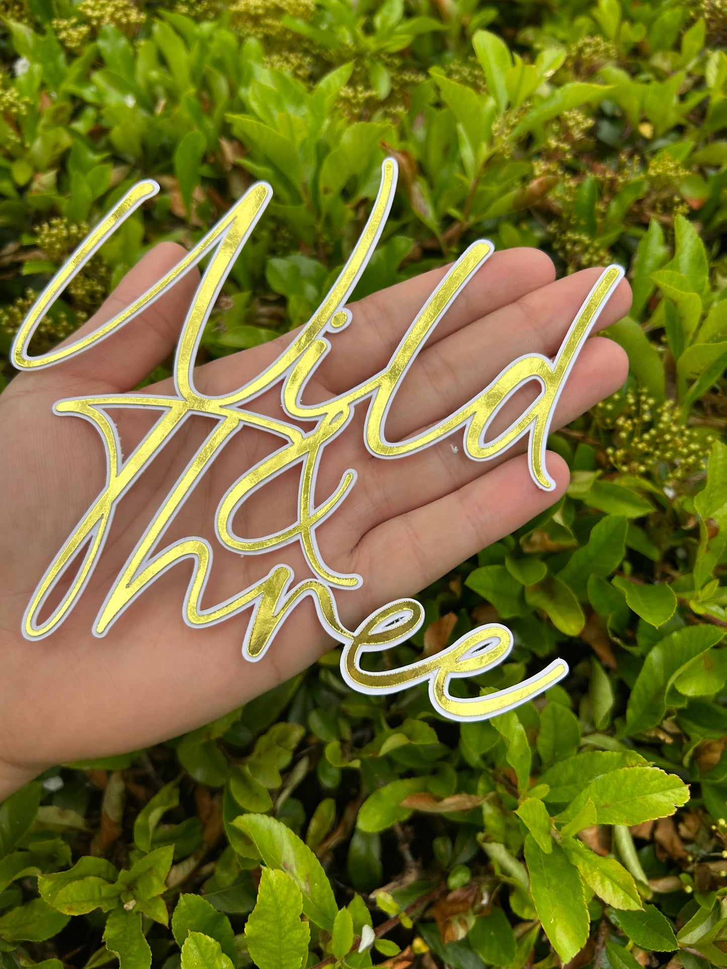 Wild And Three Charm And Name, Wild And Three Cake Topper