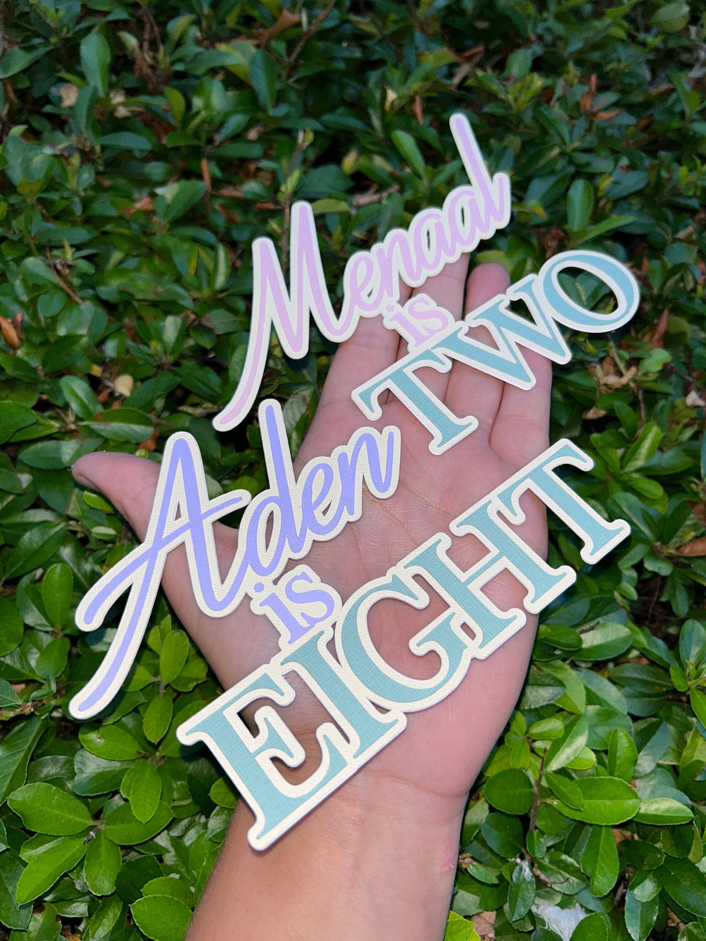 Name And Age Cake Topper