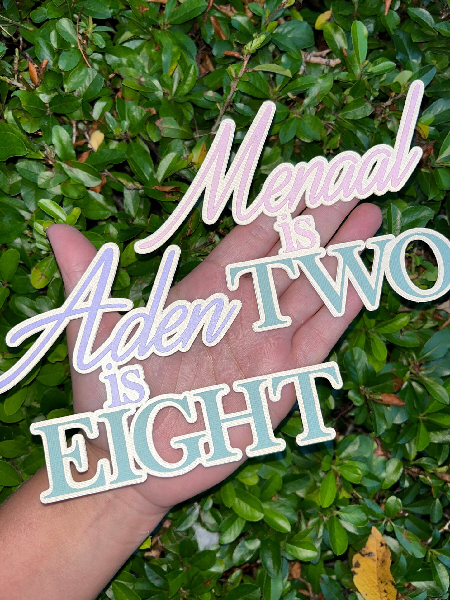 Name And Age Cake Topper