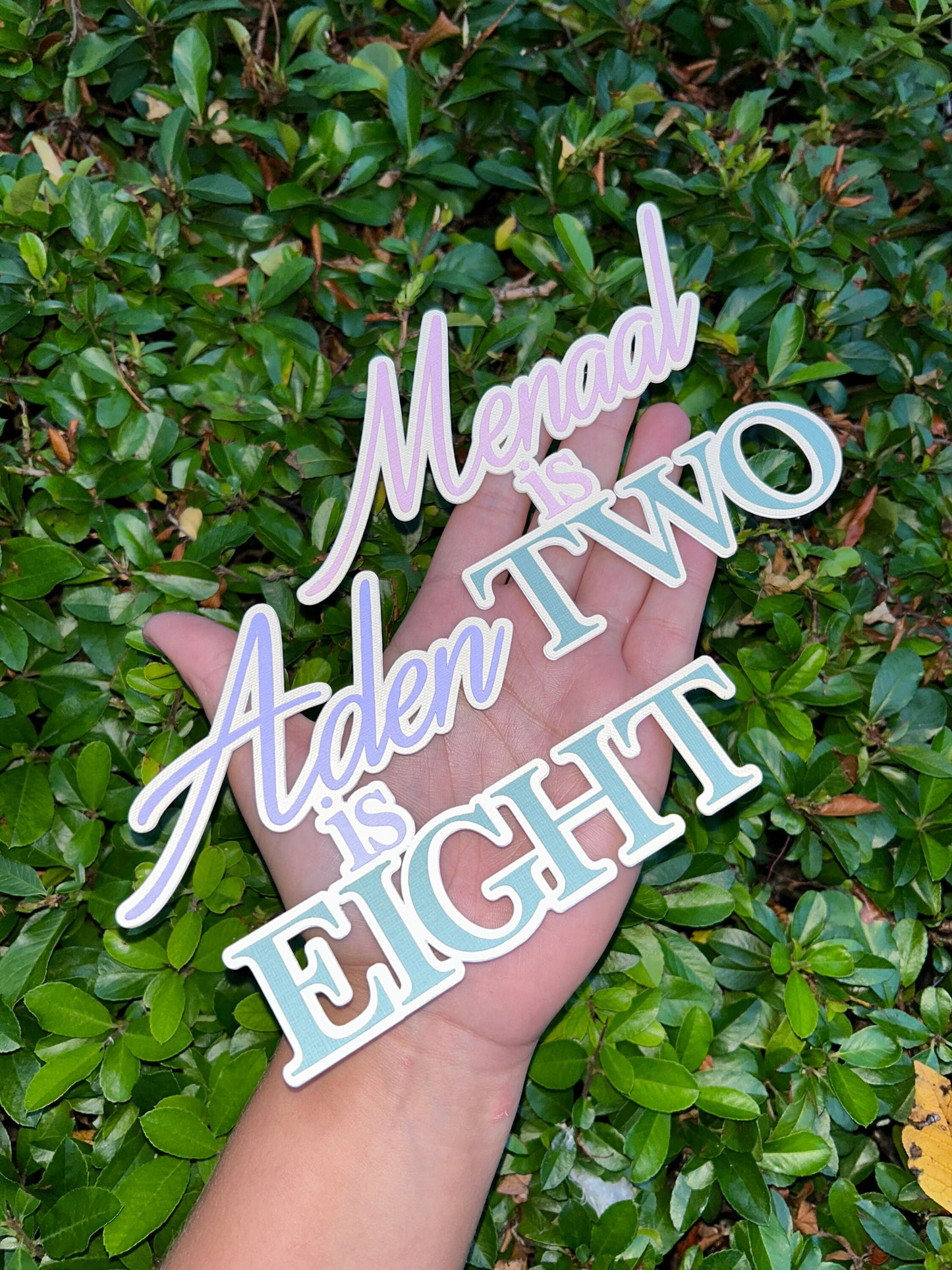 Name And Age Cake Topper