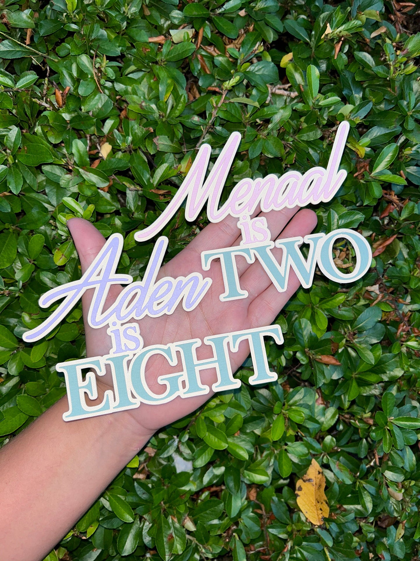 Name And Age Cake Topper