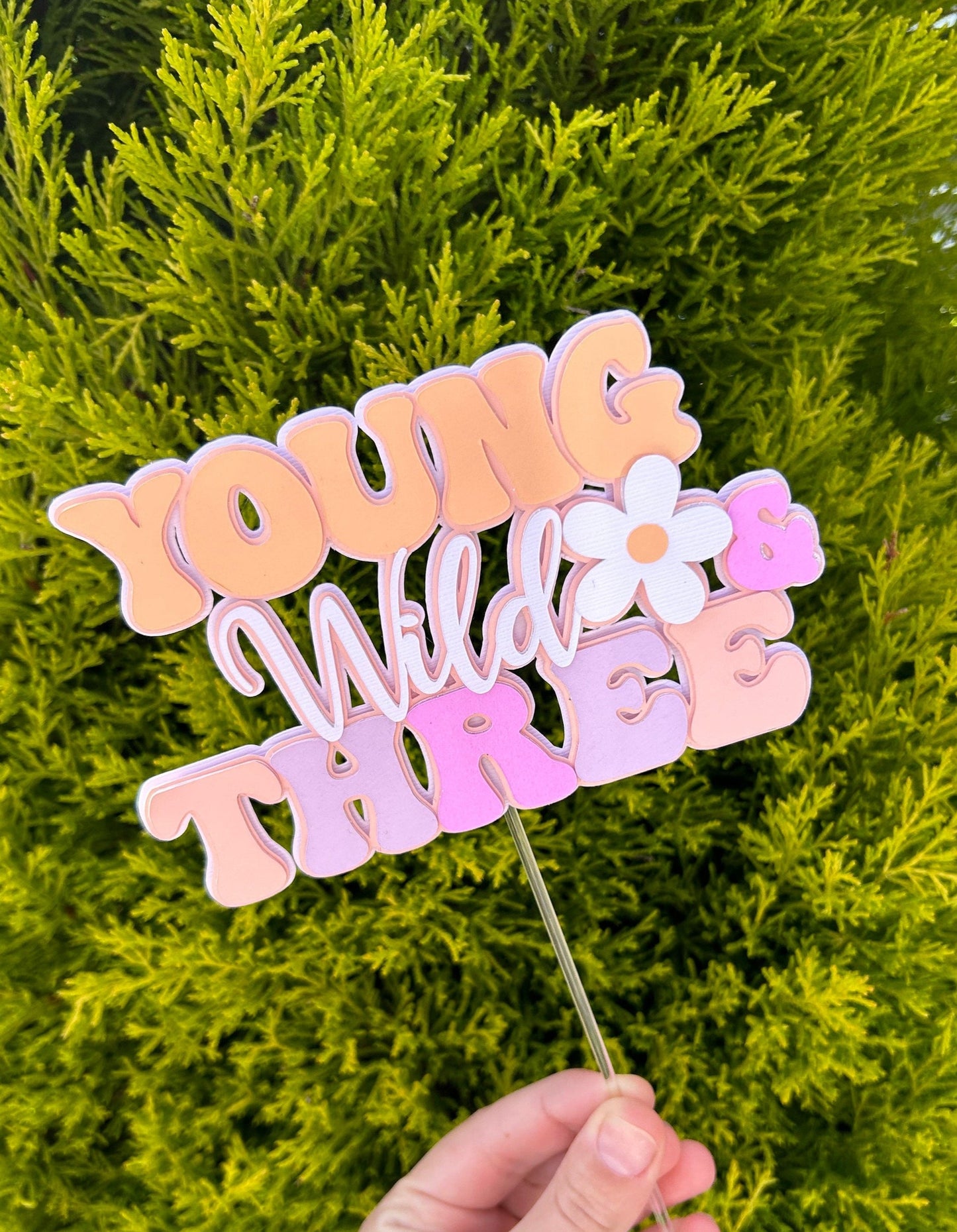 Young Wild And Three Cake Topper