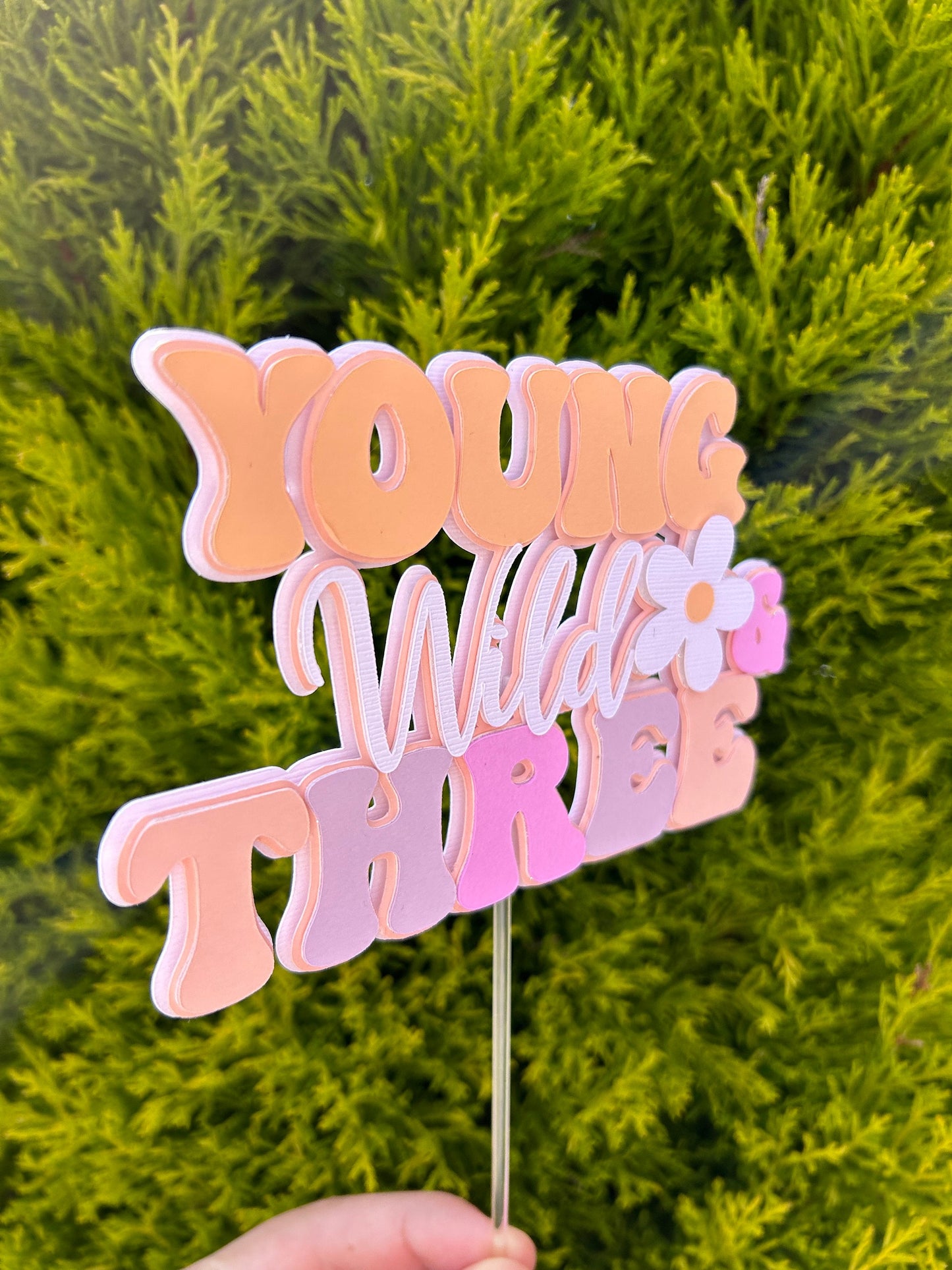 Young Wild And Three Cake Topper
