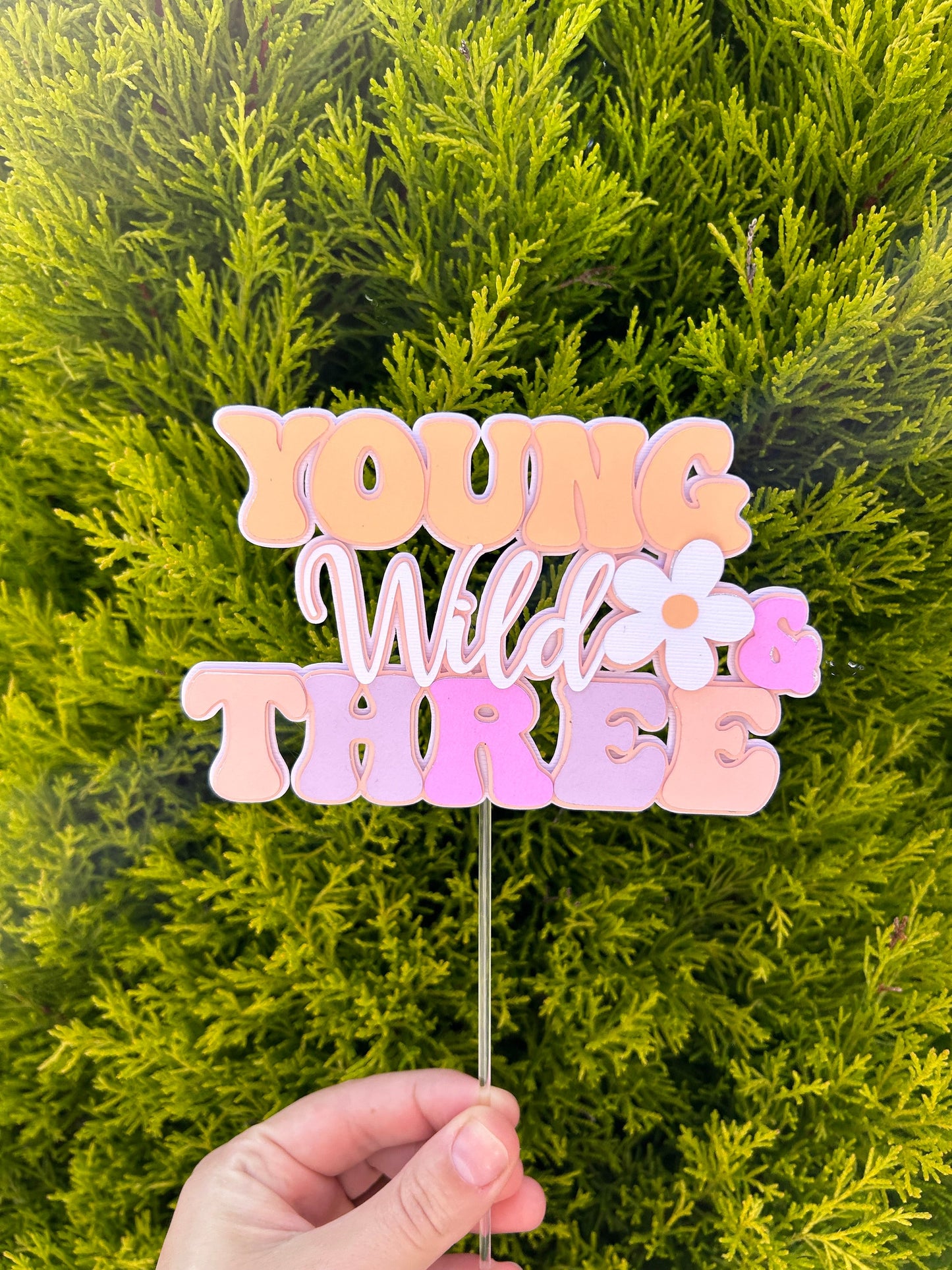 Young Wild And Three Cake Topper