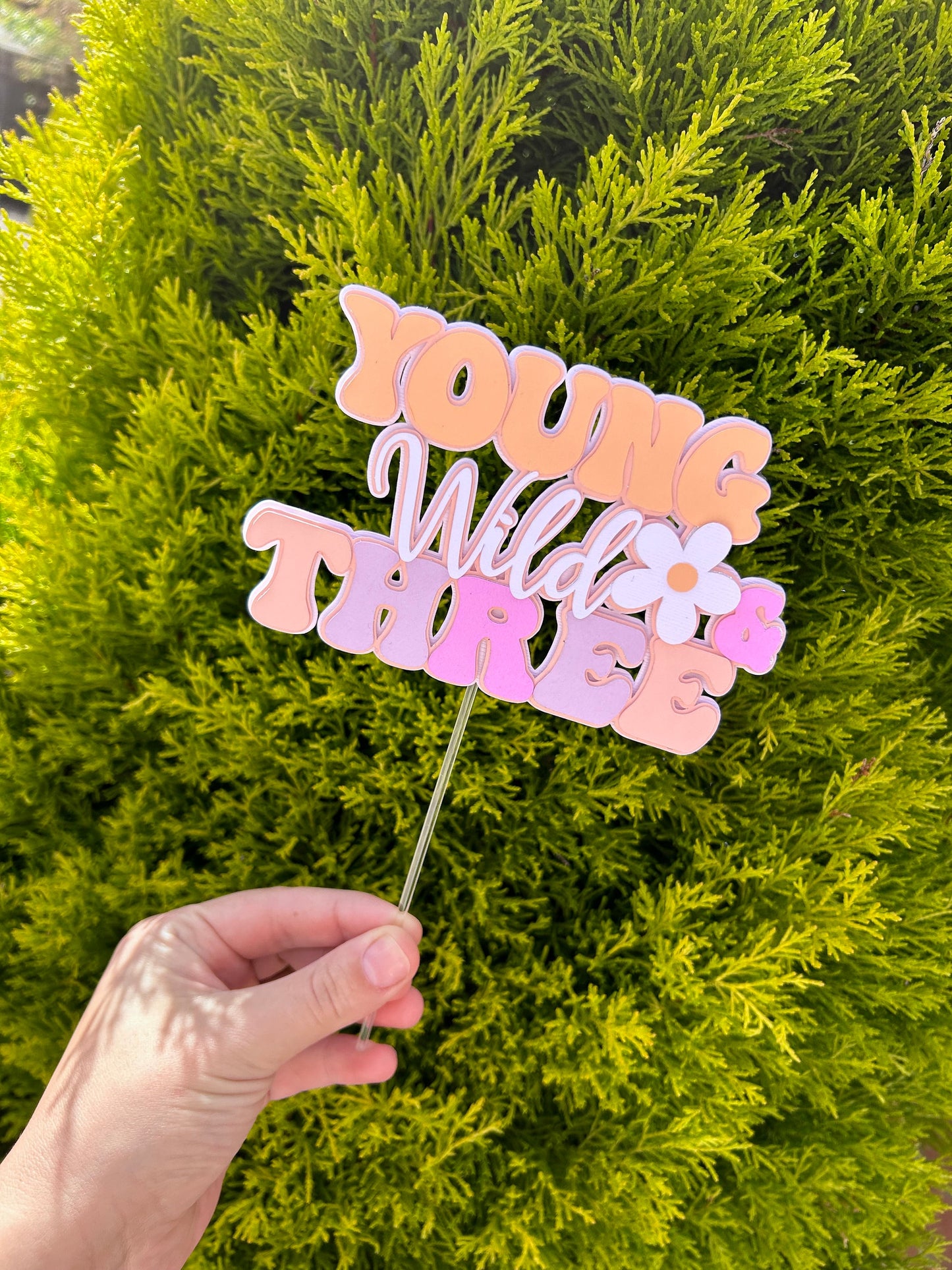 Young Wild And Three Cake Topper