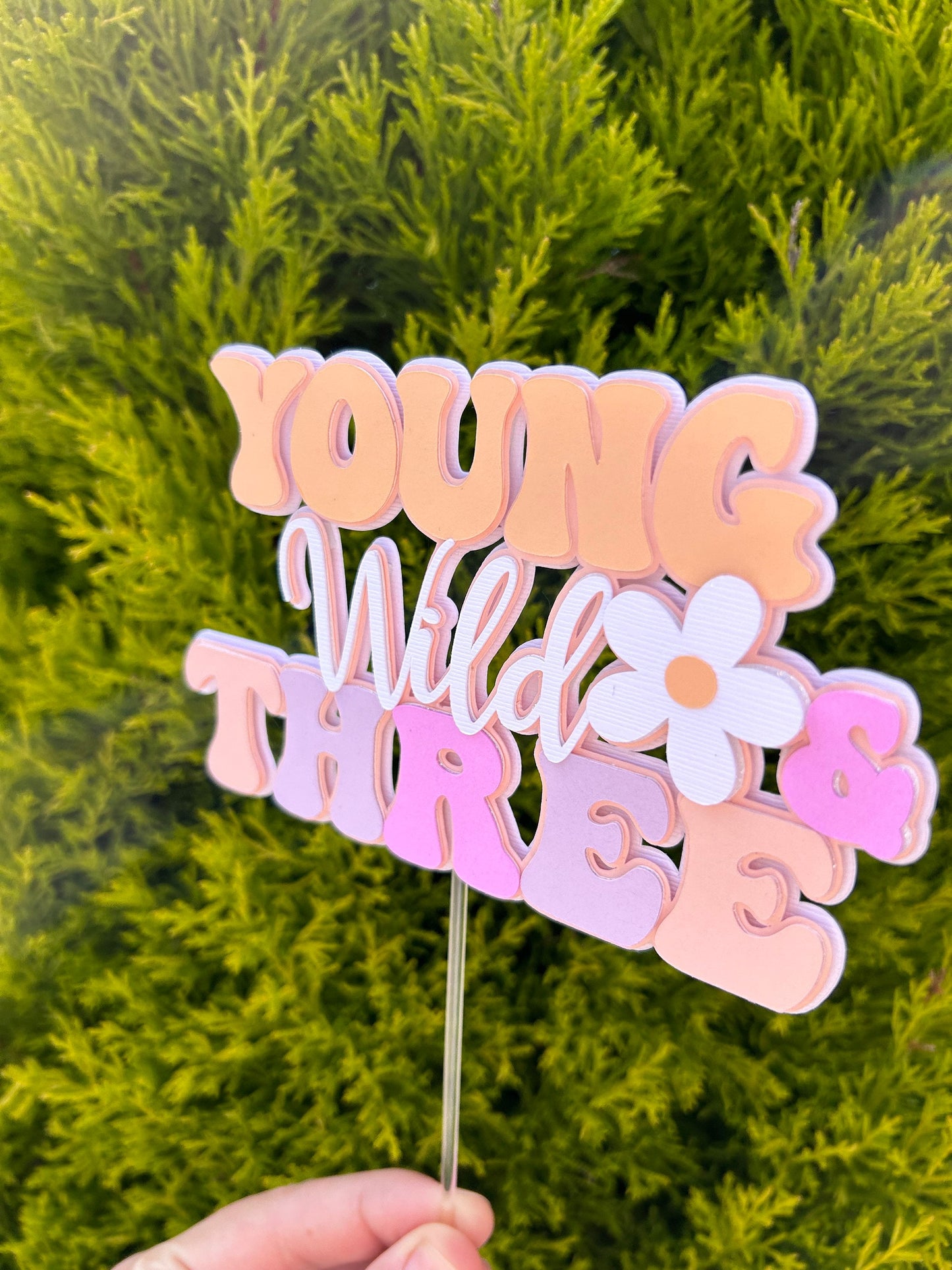 Young Wild And Three Cake Topper